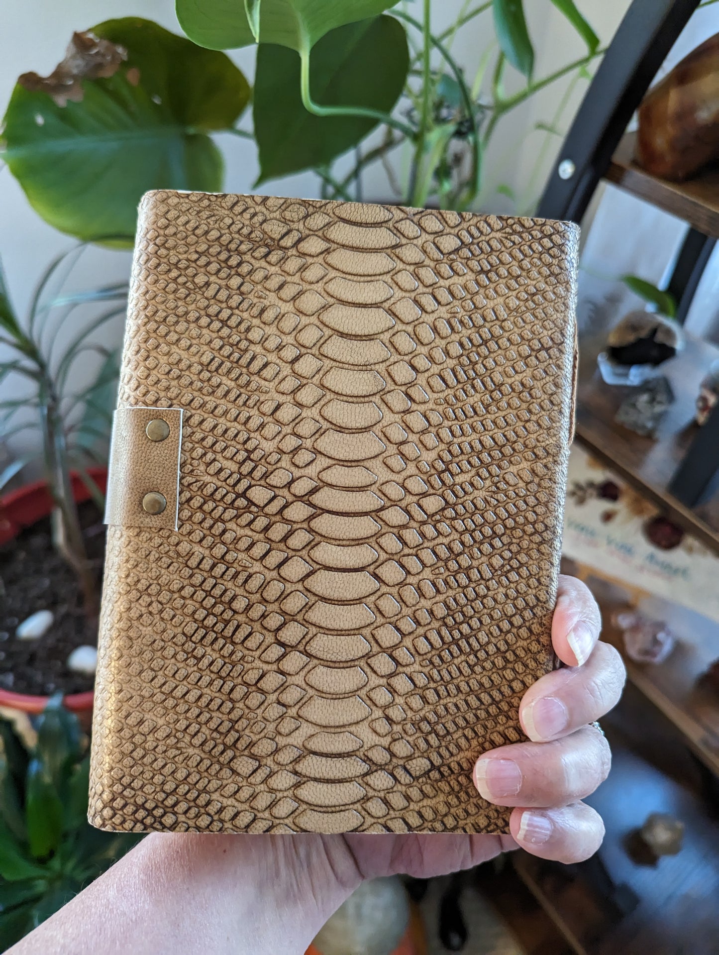 Leather Journal (Medusa) 5x7