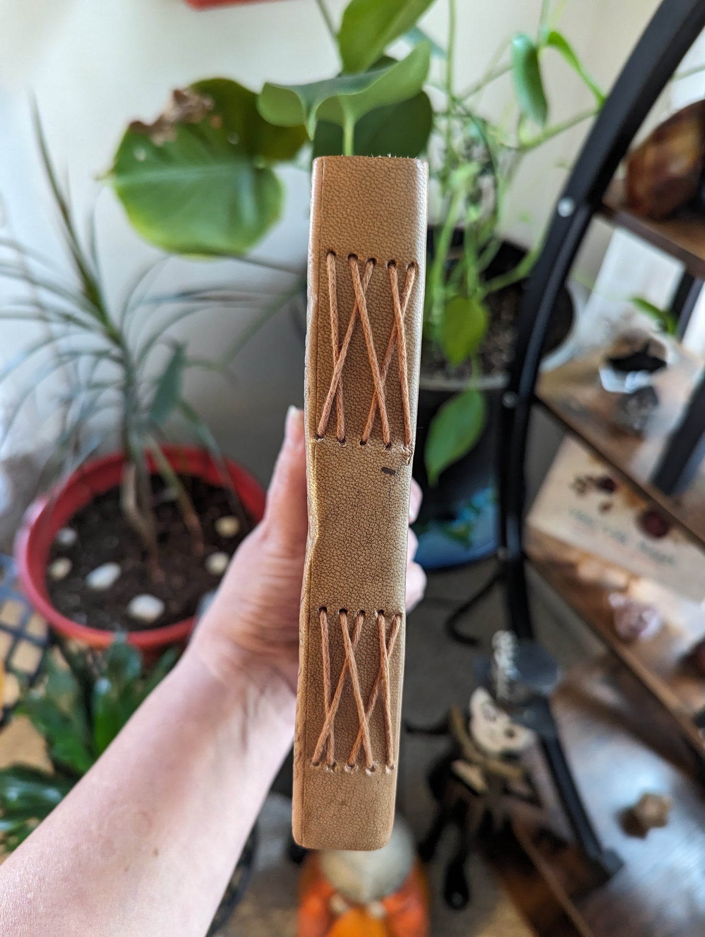 Leather Journal (Double Tree) 5x7