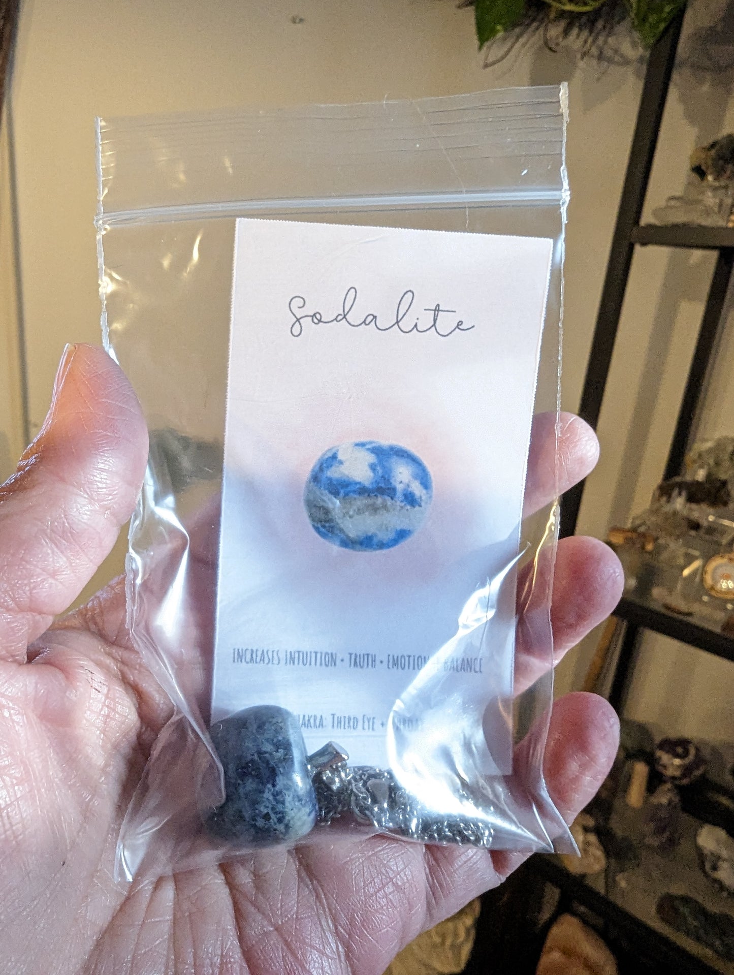 Apple Necklace (Sodalite) - HARMONY, SELF EXPRESSION, FOCUS