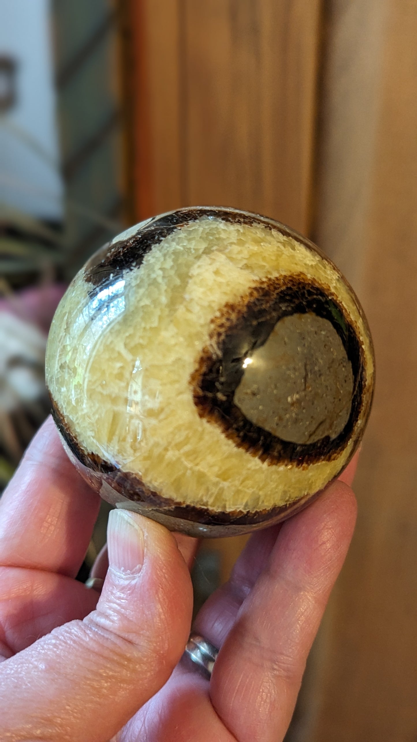 Septarian Sphere - PROTECTION, CONFIDENCE, STRENGTH