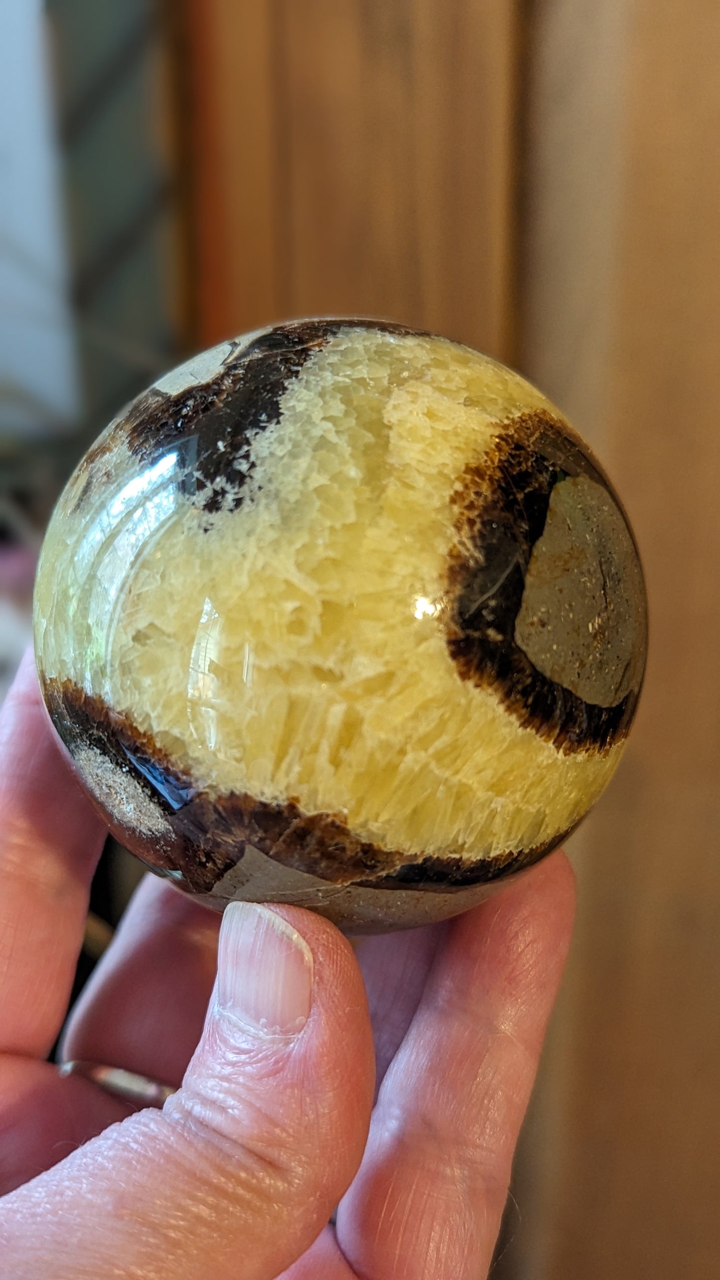 Septarian Sphere - PROTECTION, CONFIDENCE, STRENGTH