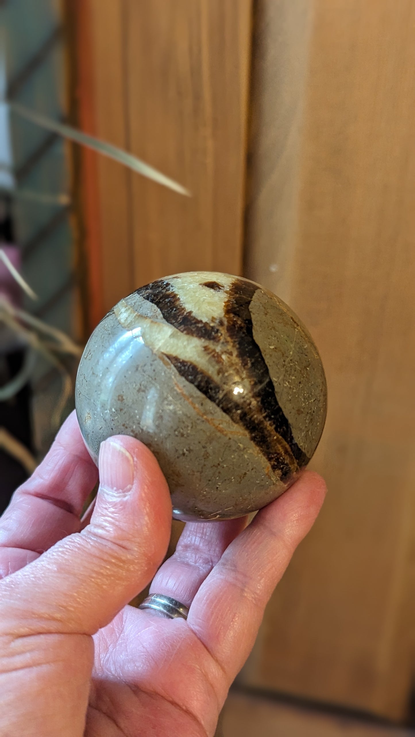 Septarian Sphere - PROTECTION, CONFIDENCE, STRENGTH