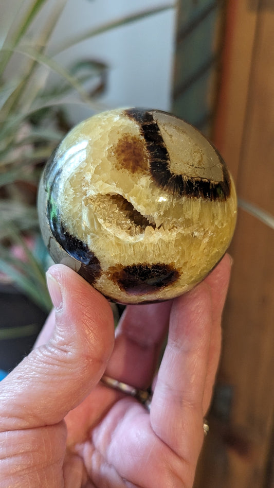 Septarian Sphere - PROTECTION, CONFIDENCE, STRENGTH