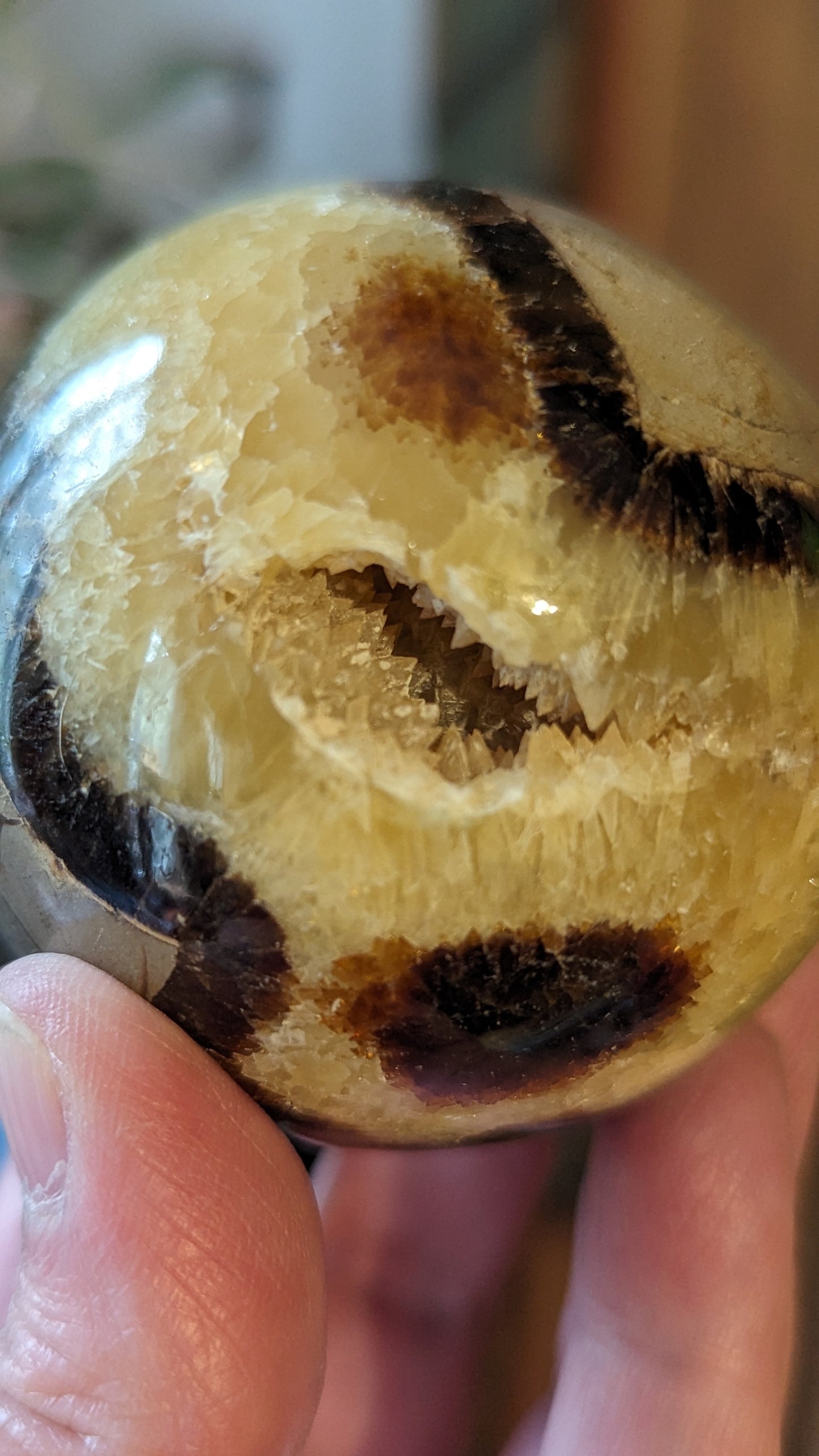 Septarian Sphere - PROTECTION, CONFIDENCE, STRENGTH