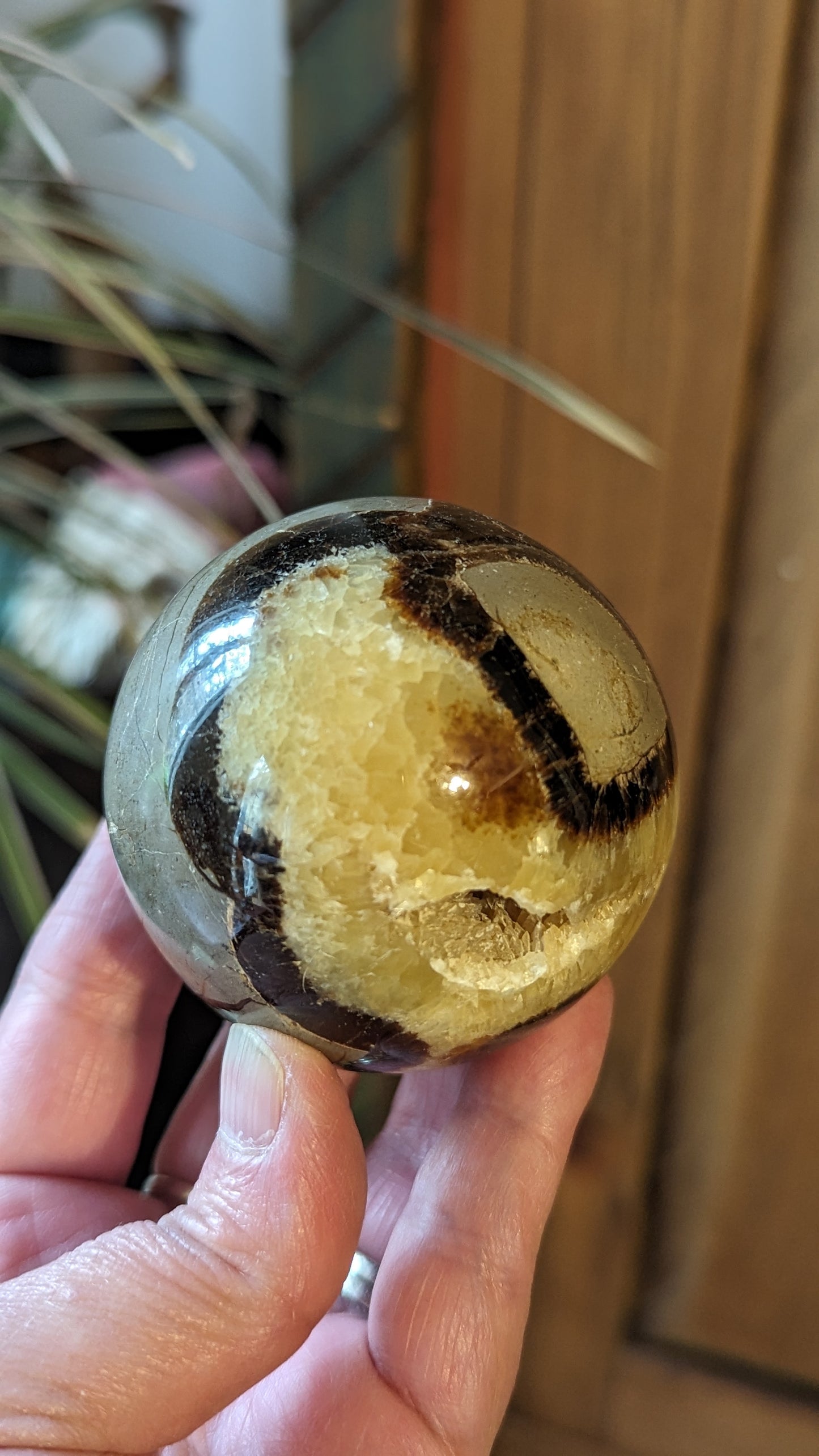 Septarian Sphere - PROTECTION, CONFIDENCE, STRENGTH