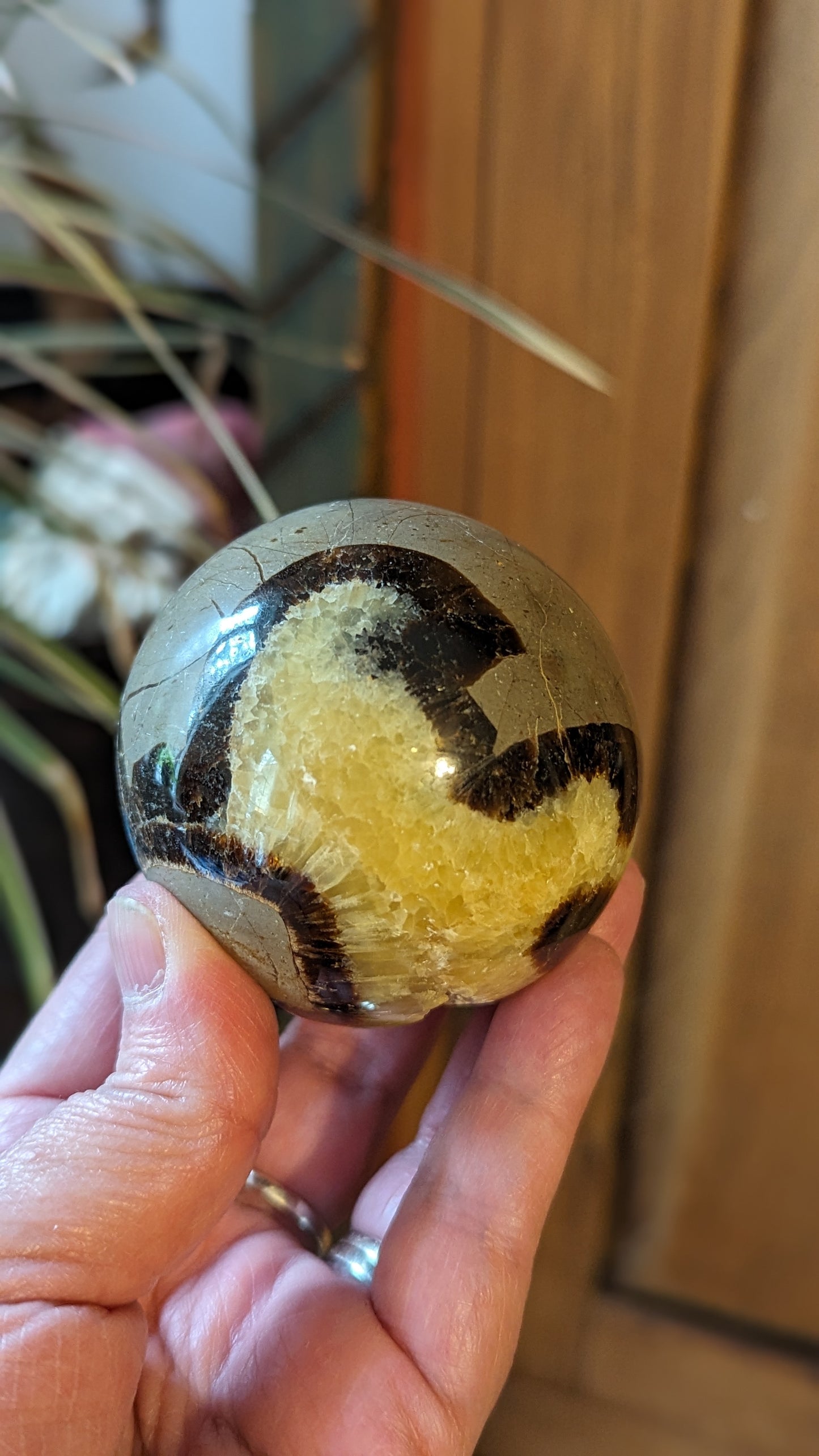 Septarian Sphere - PROTECTION, CONFIDENCE, STRENGTH