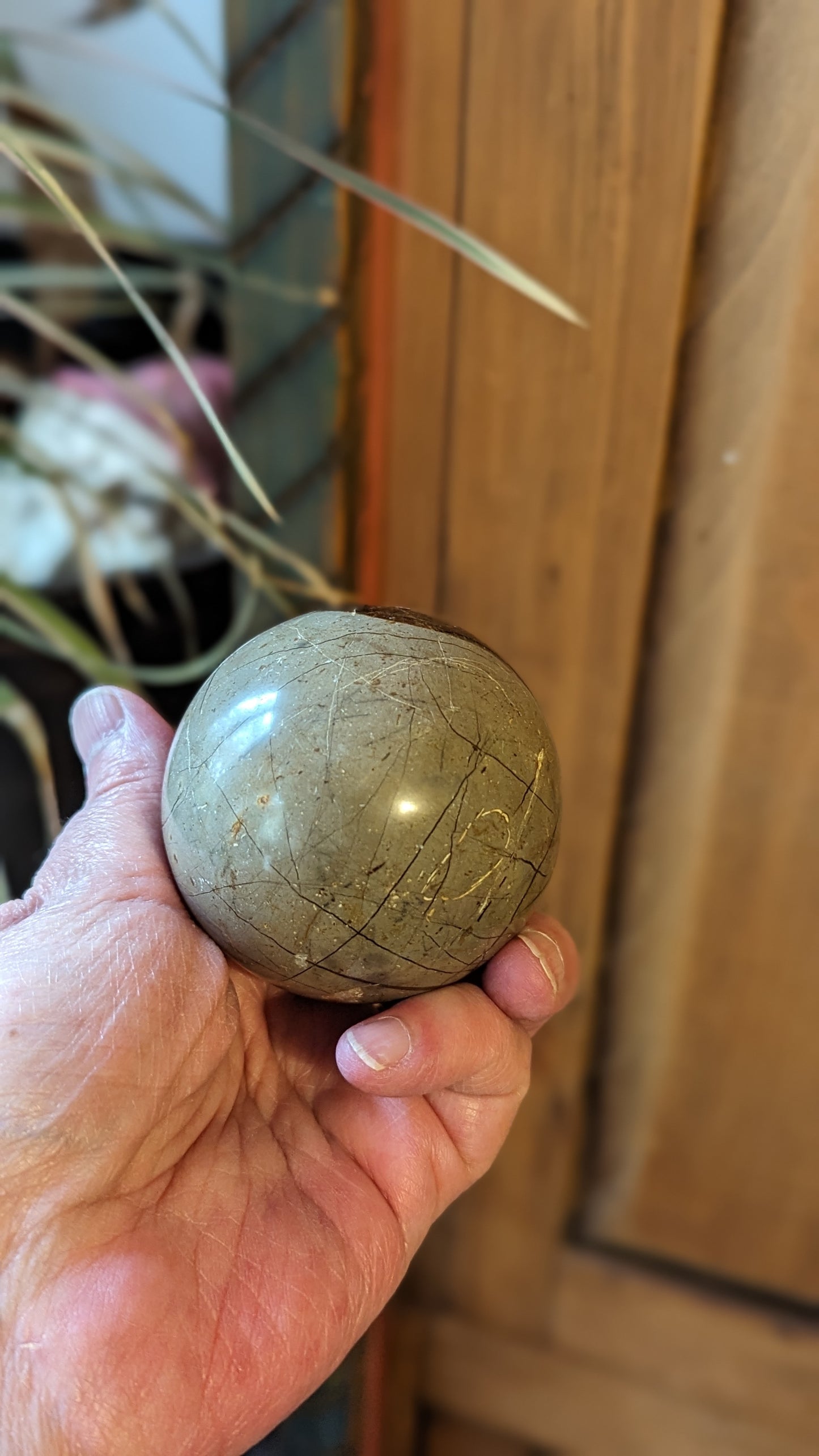 Septarian Sphere - PROTECTION, CONFIDENCE, STRENGTH