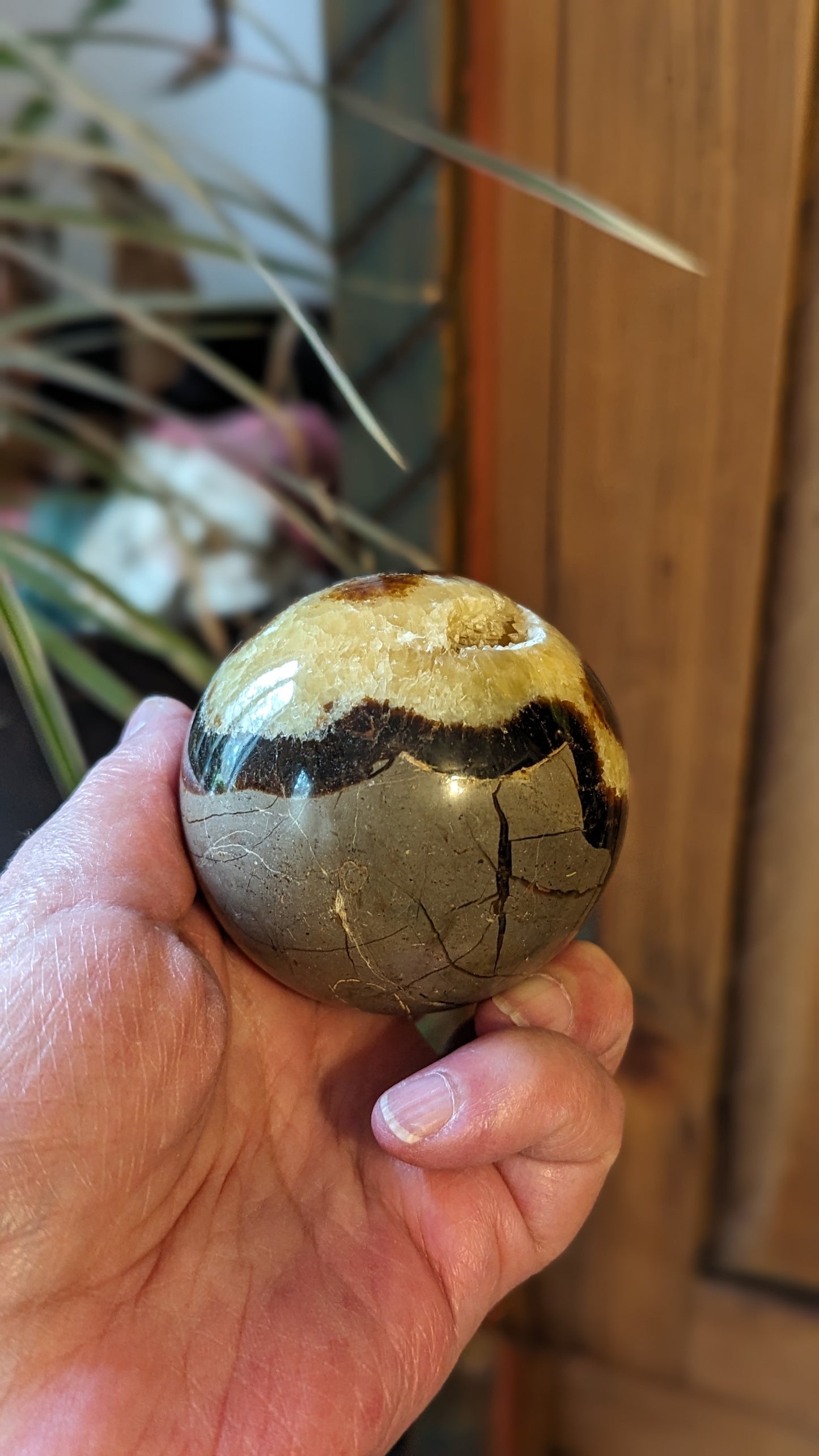 Septarian Sphere - PROTECTION, CONFIDENCE, STRENGTH