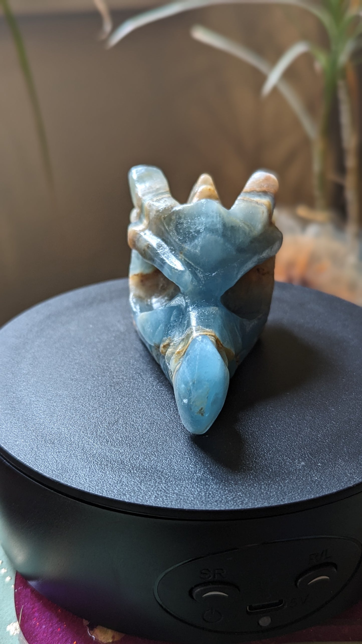 Dragon Head - Blue Onyx