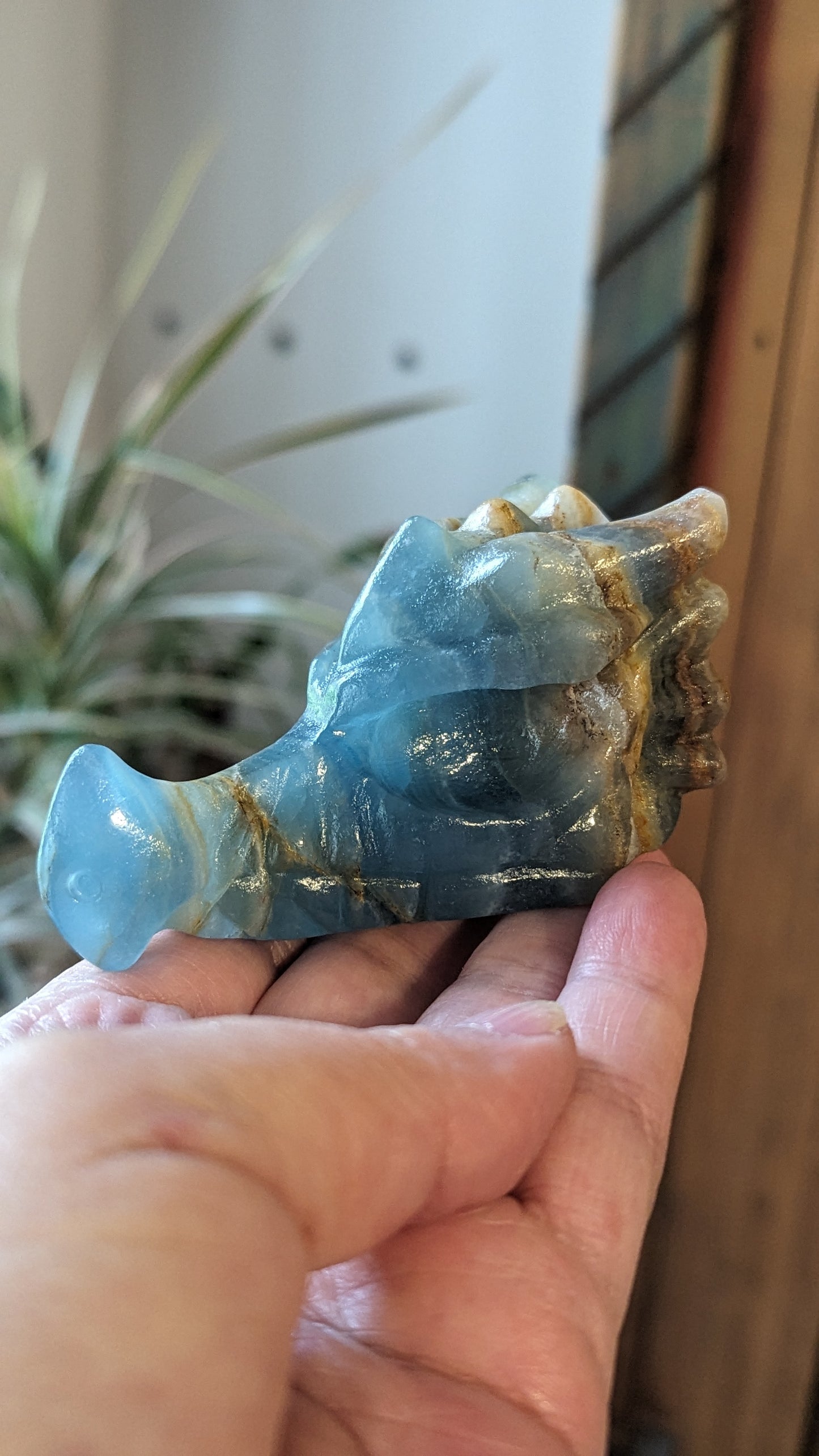 Dragon Head - Blue Onyx