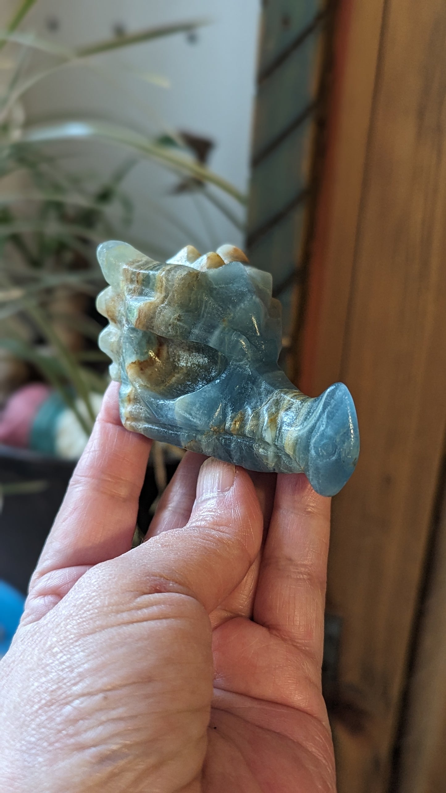 Dragon Head - Blue Onyx