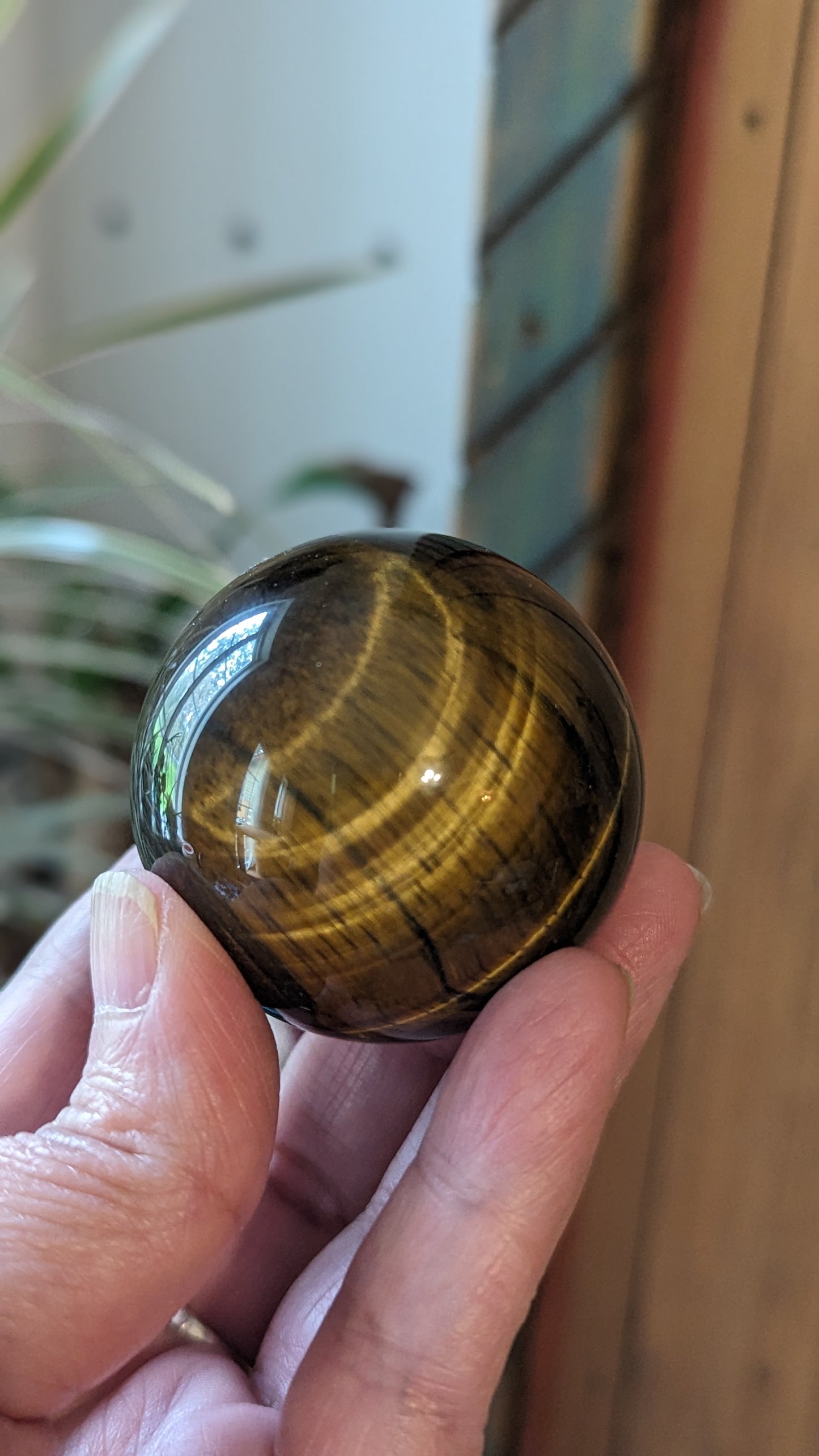 Tigers Eye Sphere - VITALITY, CONFIDENCE, MOTIVATION