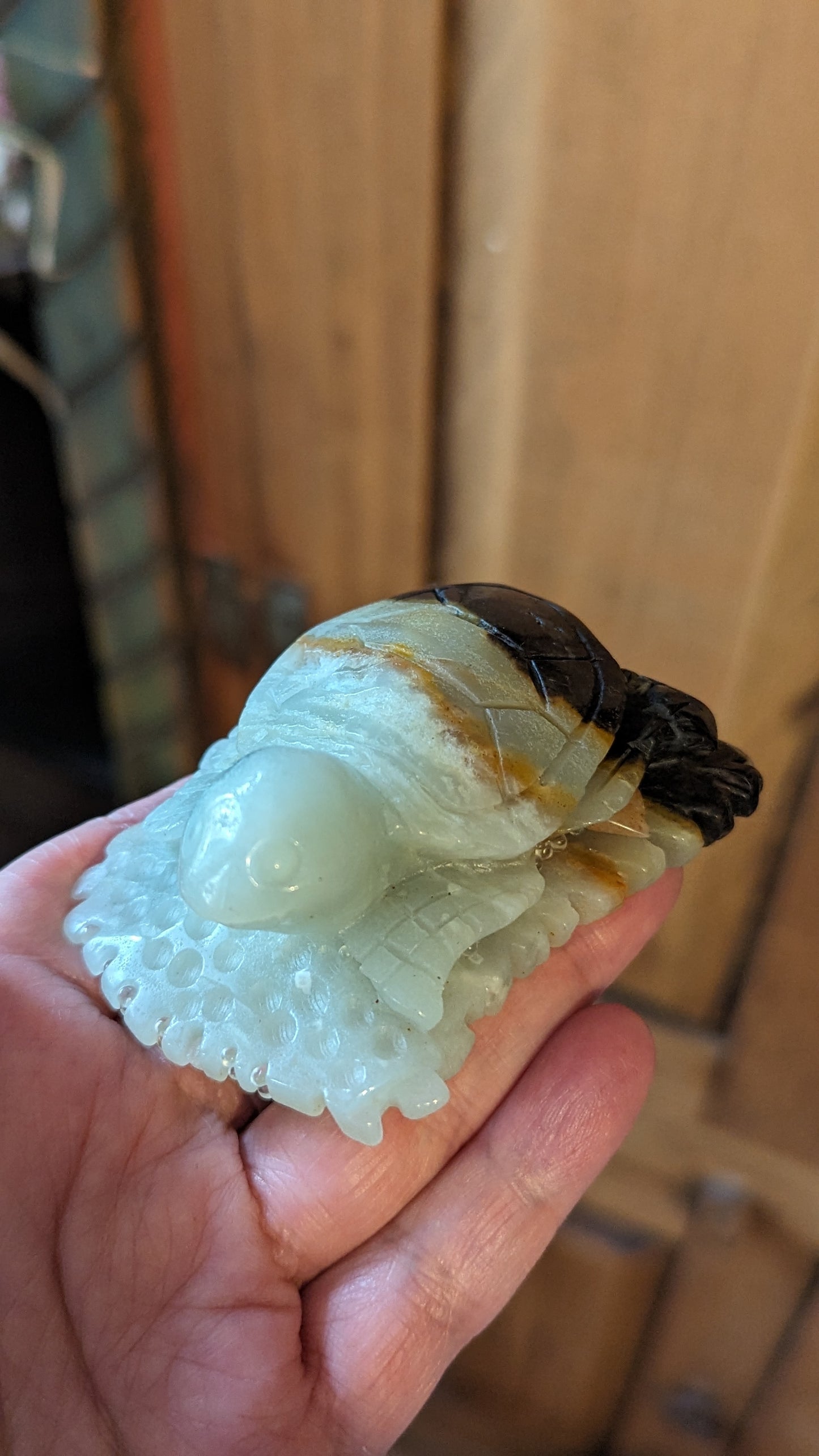 Turtle (Caribbean Calcite) - RELAXATION, CALMING, BALANCING