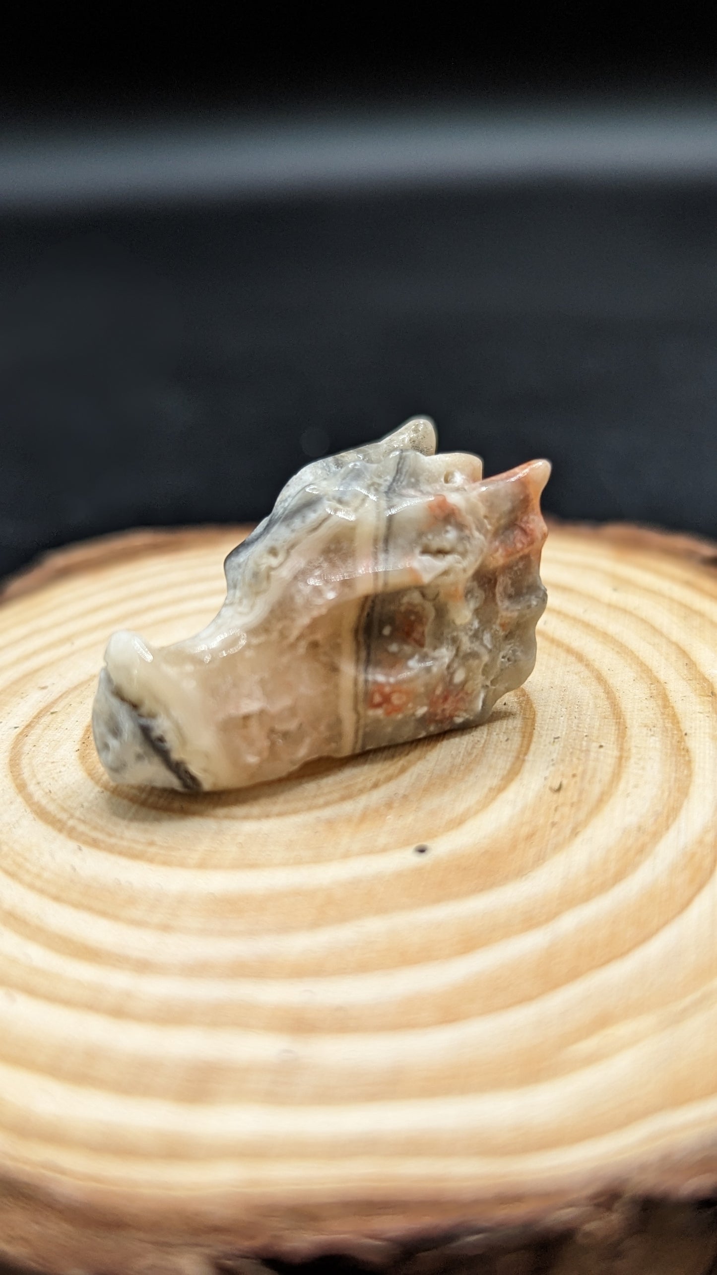 Dragon Head Mini - Mexican Agate (Crazy Lace)- PROTECTION, UNITY, INNOCENCE, TRANSFORMATION