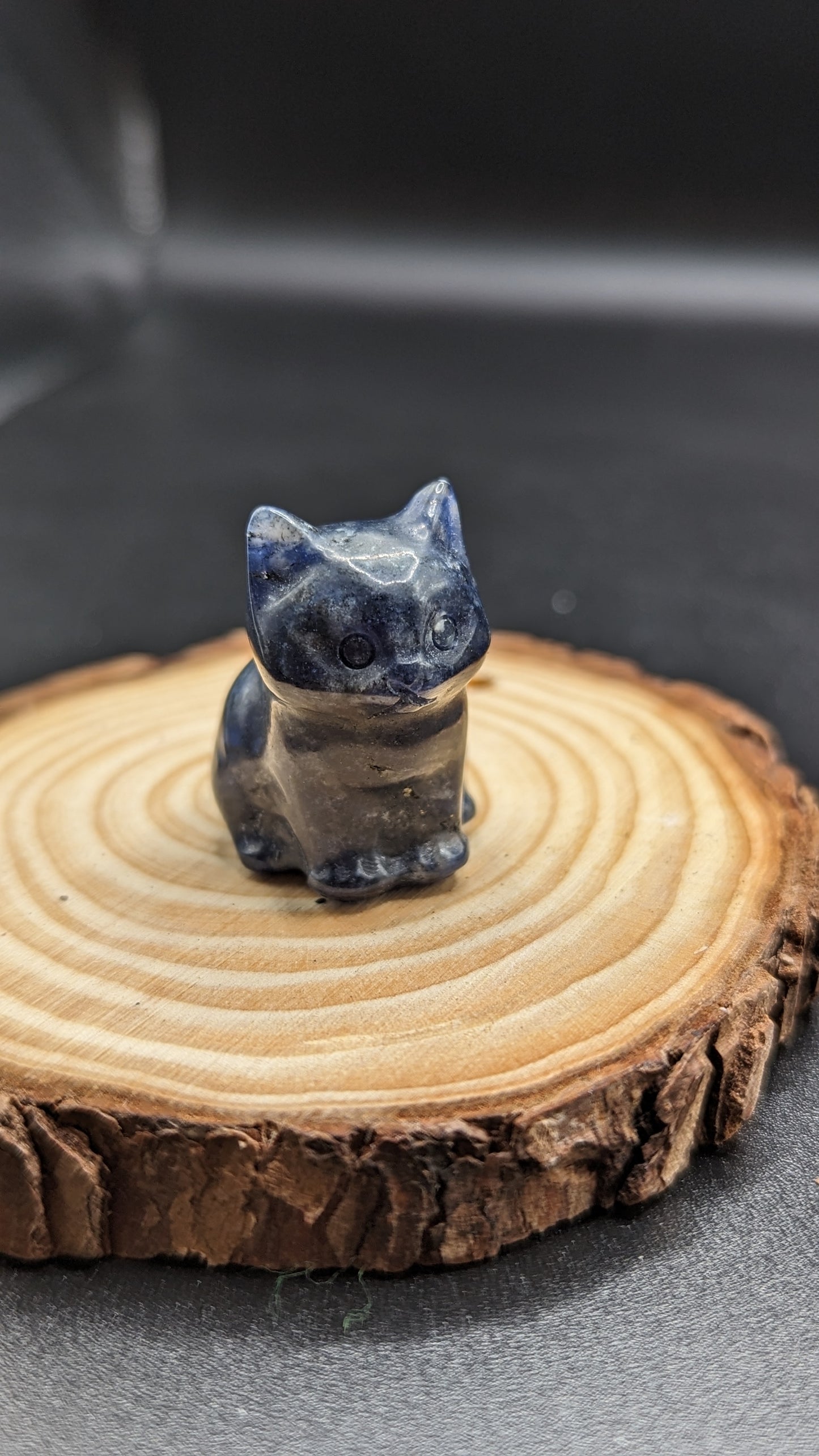 Sitting Cat (Sodalite) UV Reactive - HARMONY, SELF EXPRESSION, FOCUS