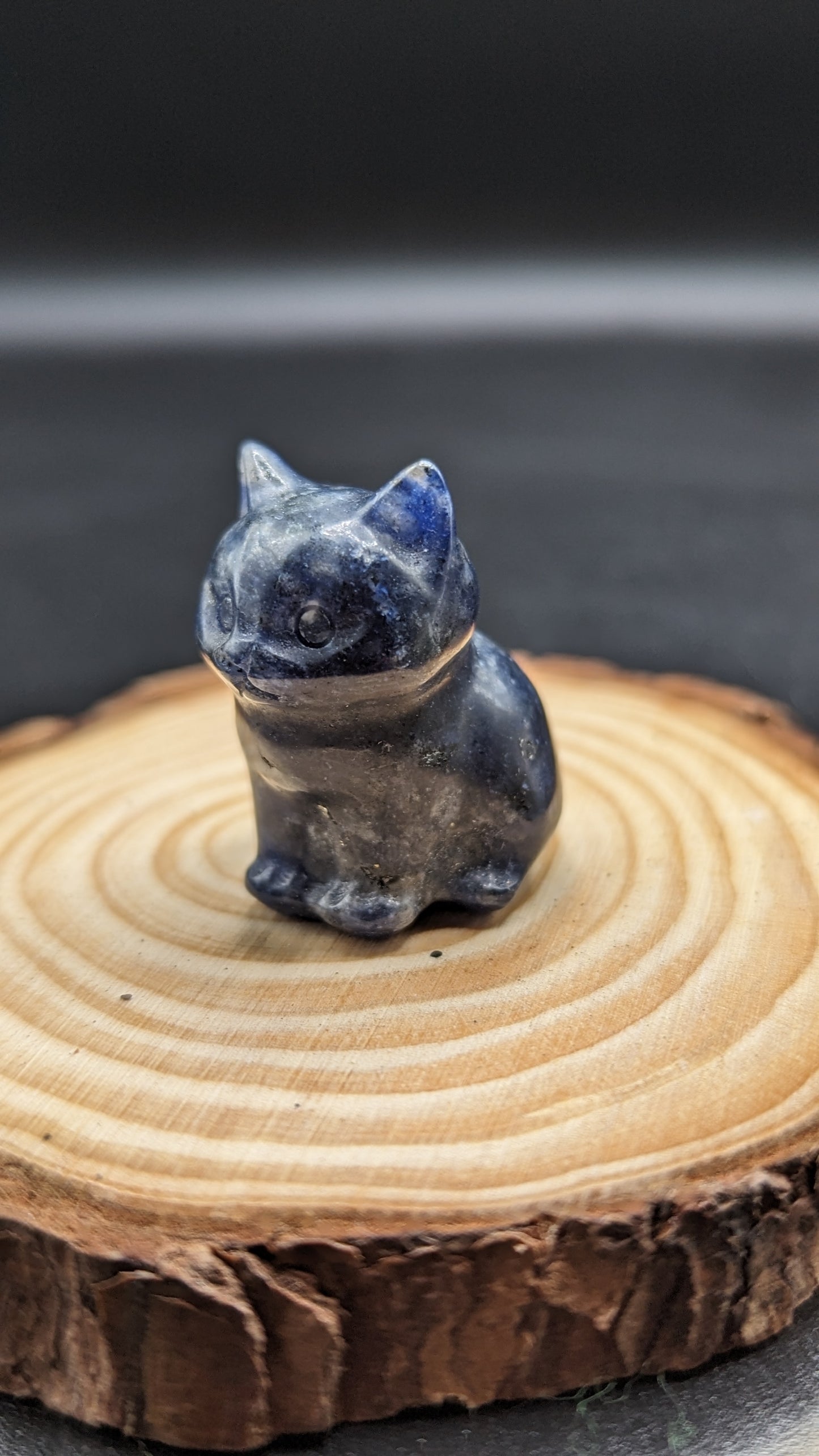 Sitting Cat (Sodalite) UV Reactive - HARMONY, SELF EXPRESSION, FOCUS