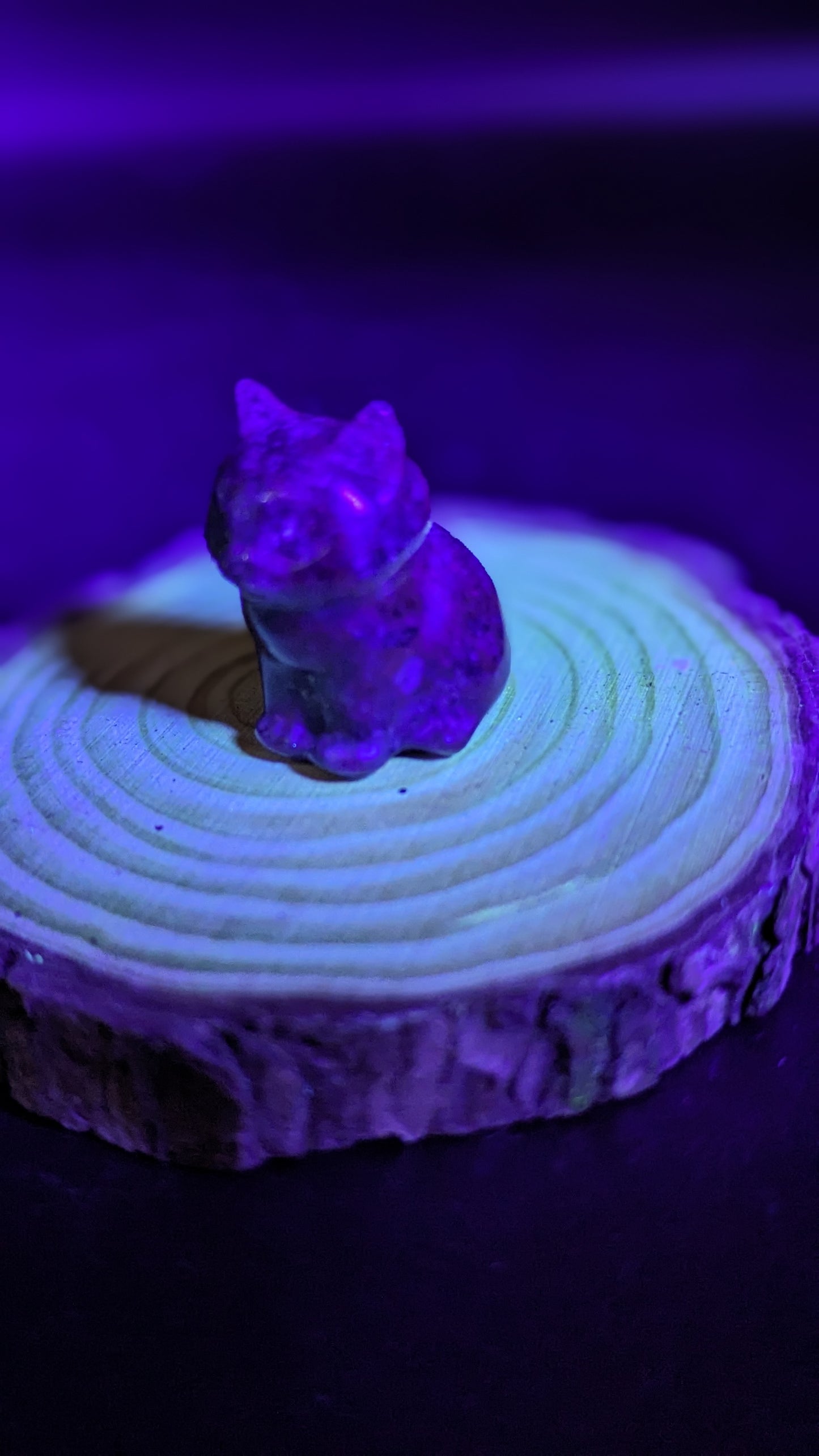 Sitting Cat (Sodalite) UV Reactive - HARMONY, SELF EXPRESSION, FOCUS