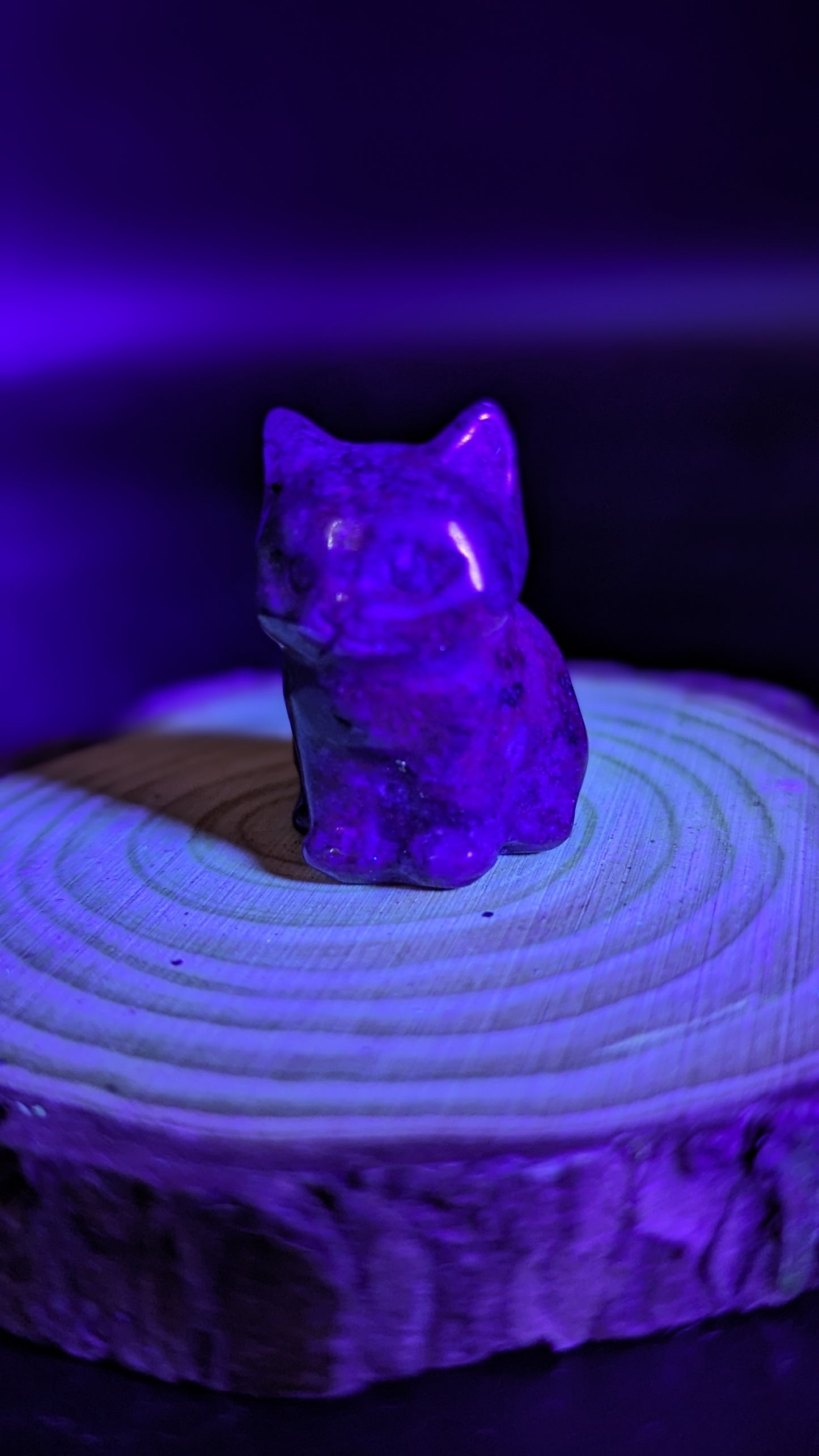 Sitting Cat (Sodalite) UV Reactive - HARMONY, SELF EXPRESSION, FOCUS