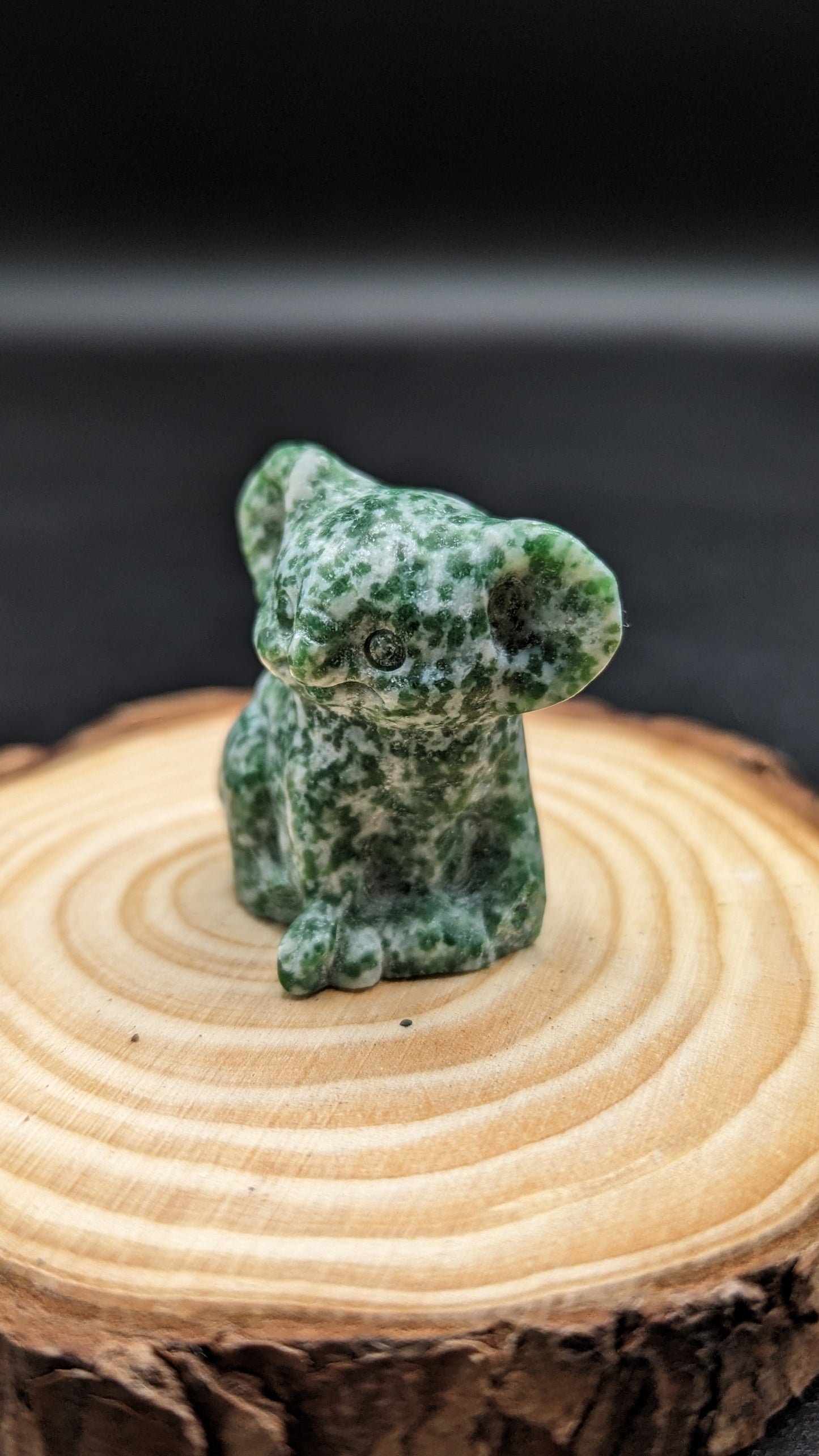 Koala (Tree Agate) - CALMING, HARMONY, REMOVES BLOCKAGES