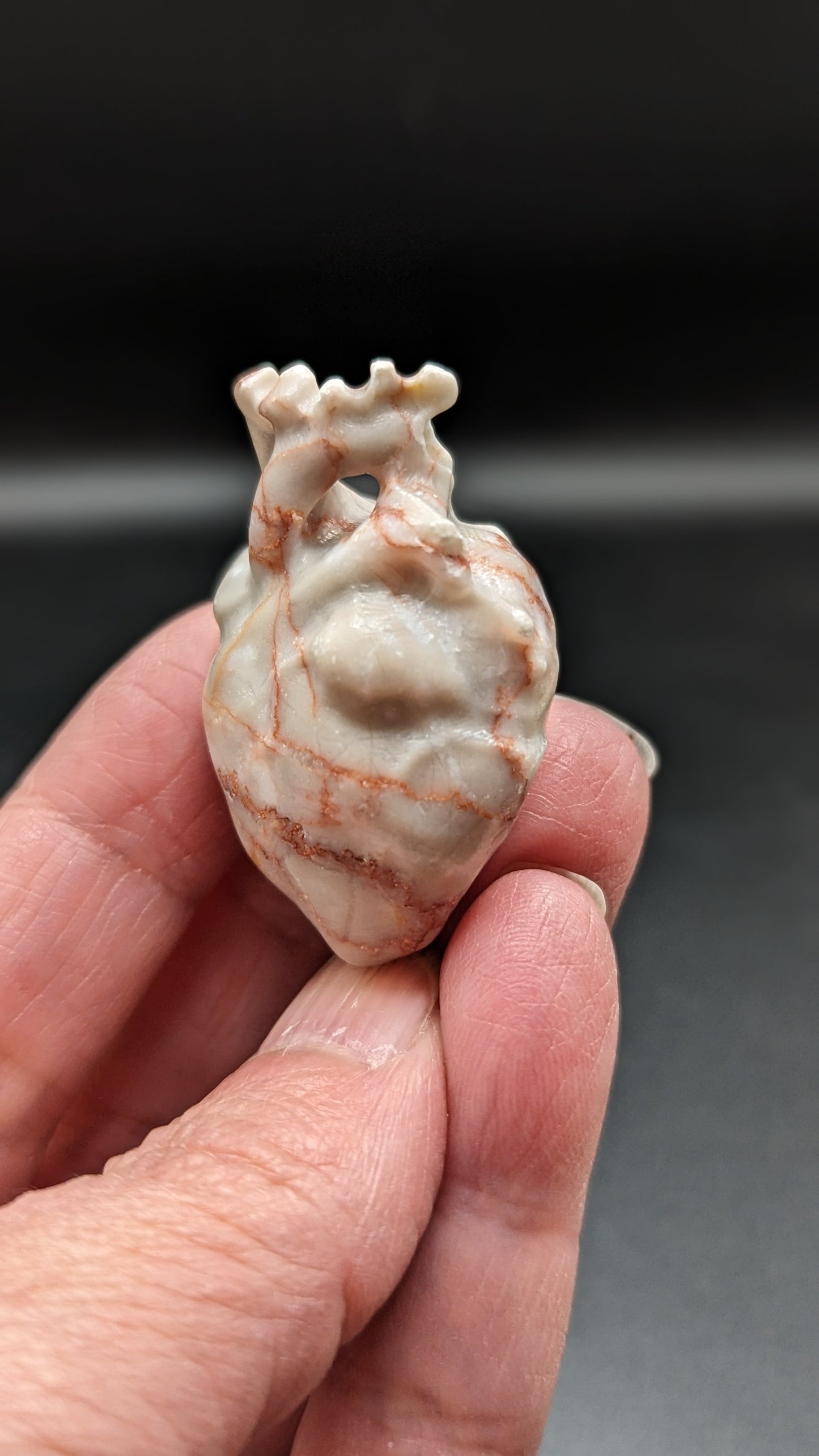 Human Heart (Red Vein Jasper)