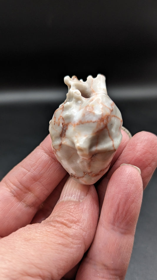 Human Heart (Red Vein Jasper)