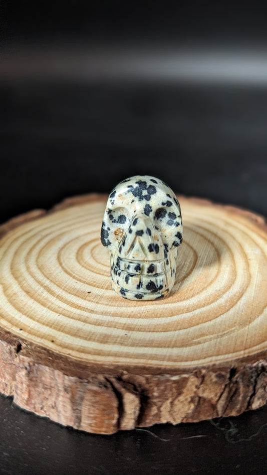 Skull Mini (Dalmatian Jasper) - COMPOSURE, GROUNDING, NURTURING