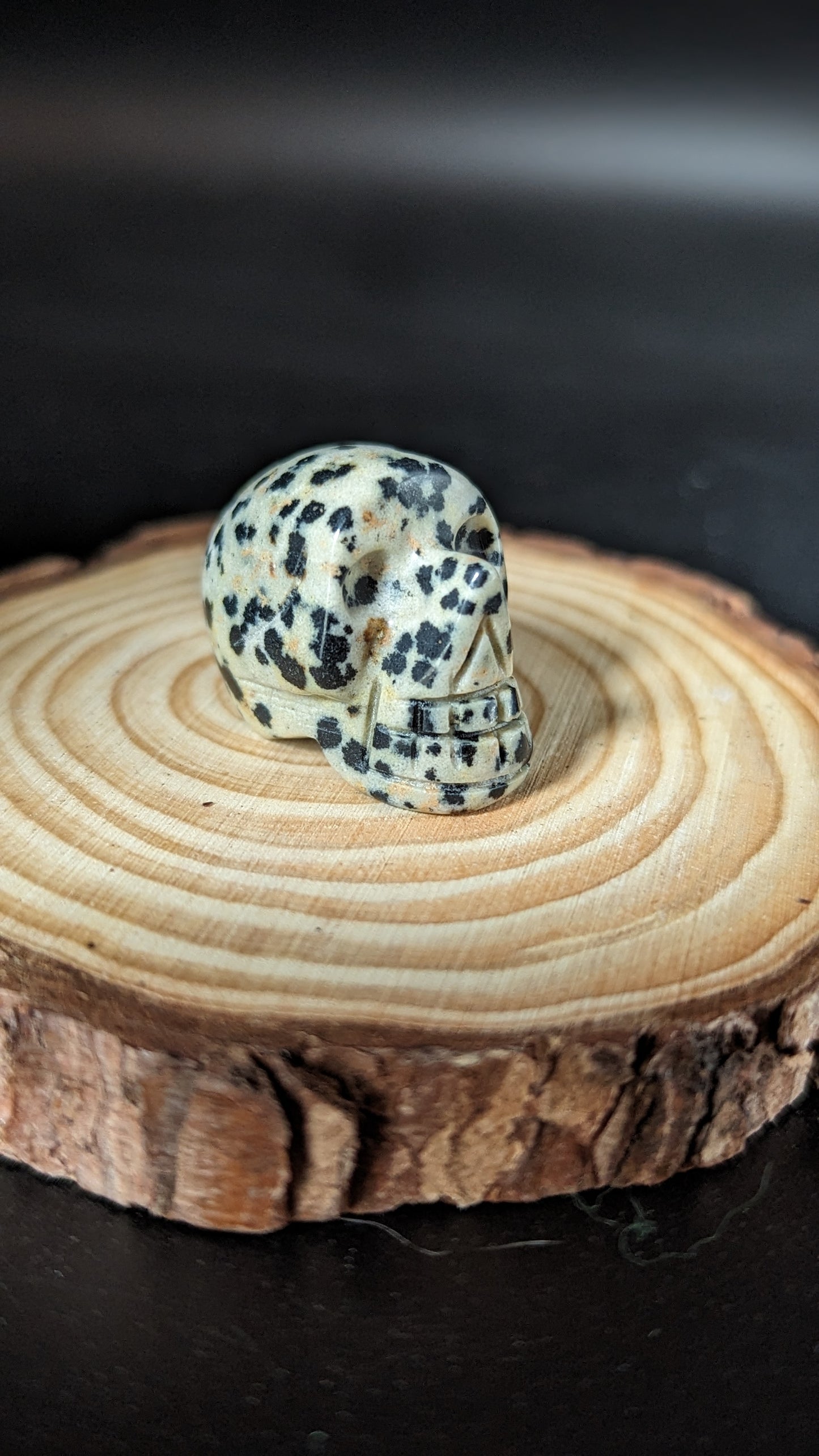 Skull Mini (Dalmatian Jasper) - COMPOSURE, GROUNDING, NURTURING