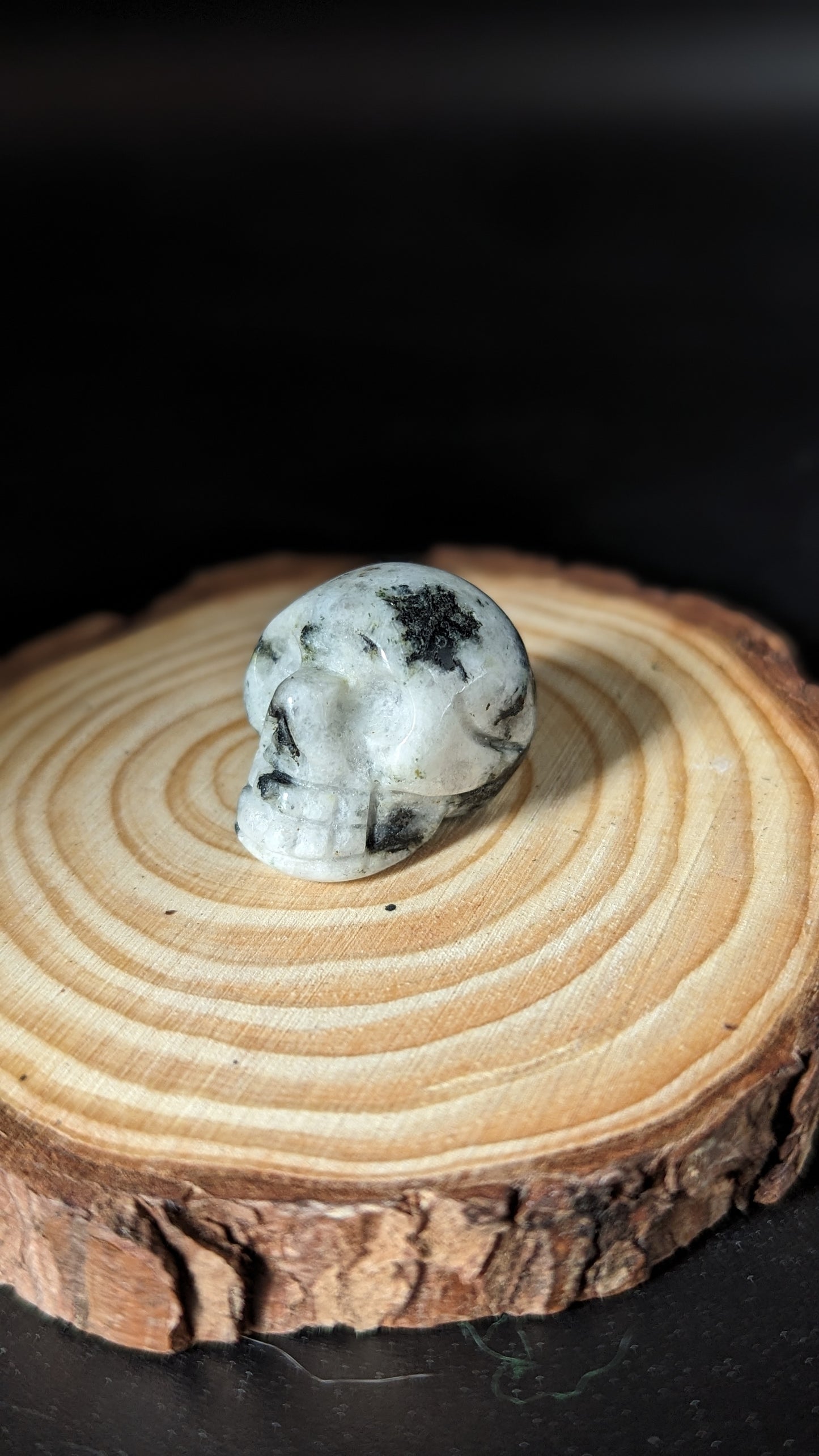 Skull Mini (Rainbow Moonstone)  - AWARENESS, GROWTH, NEW BEGINNINGS