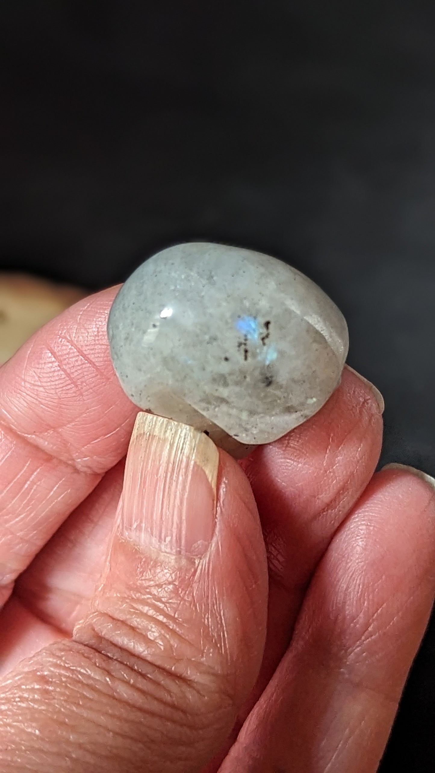 Skull Mini (Labradorite)- STRENGTH, TRANFORMATION, INTUITION