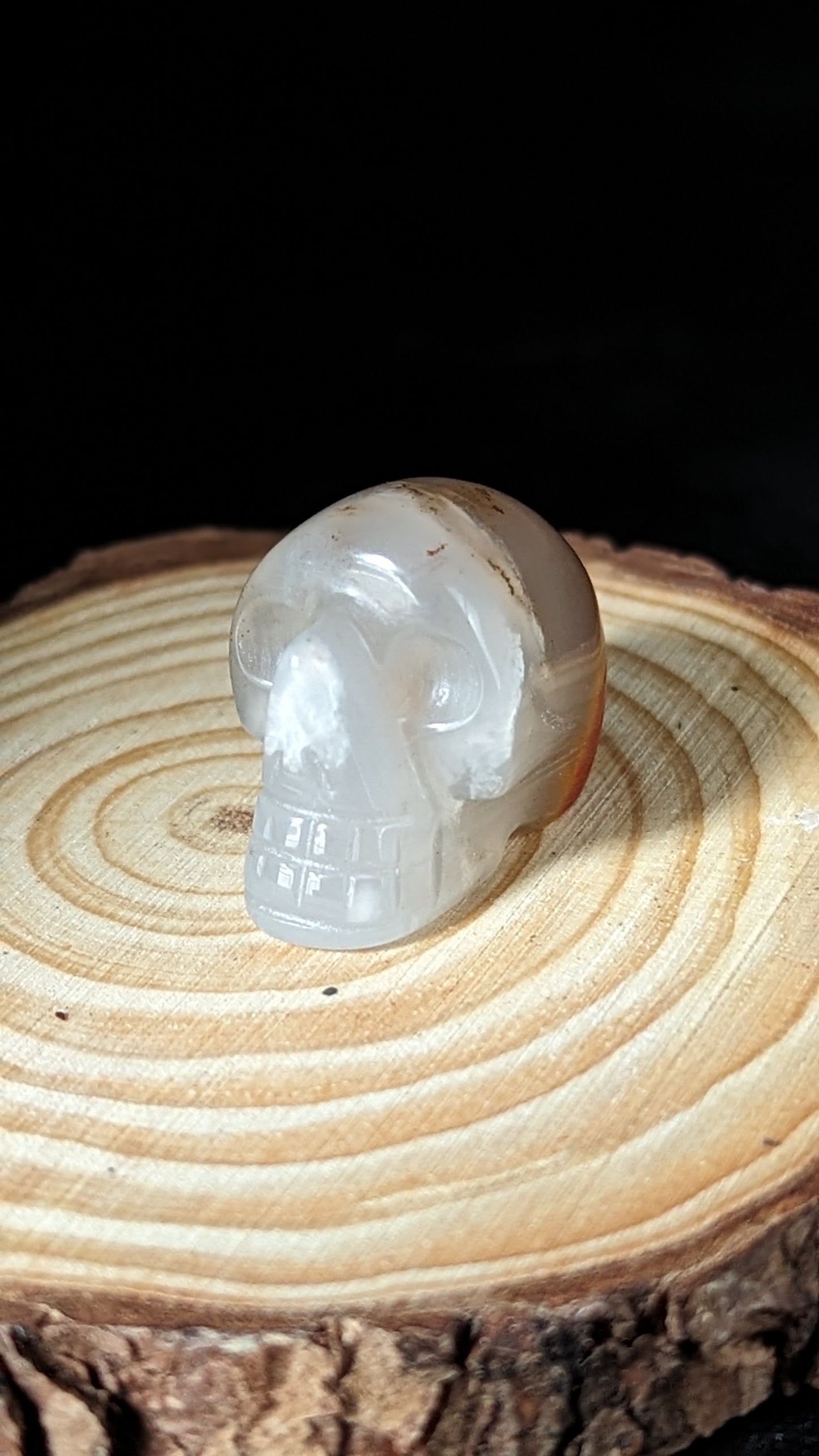 Skull Mini (Carnelian) - VITALITY, CREATIVITY, GROUNDING