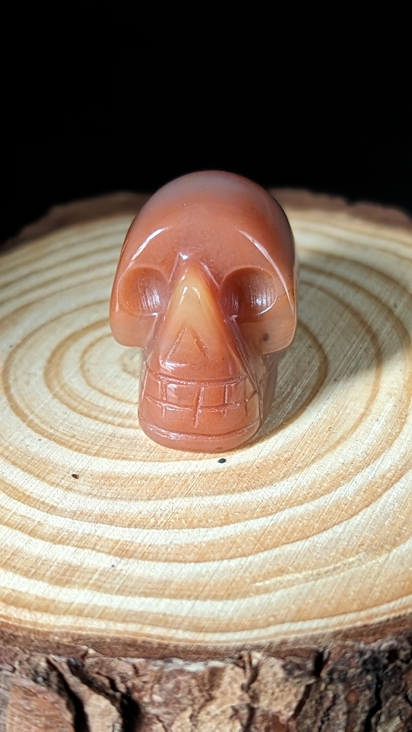 Skull Mini (Carnelian) - VITALITY, CREATIVITY, GROUNDING