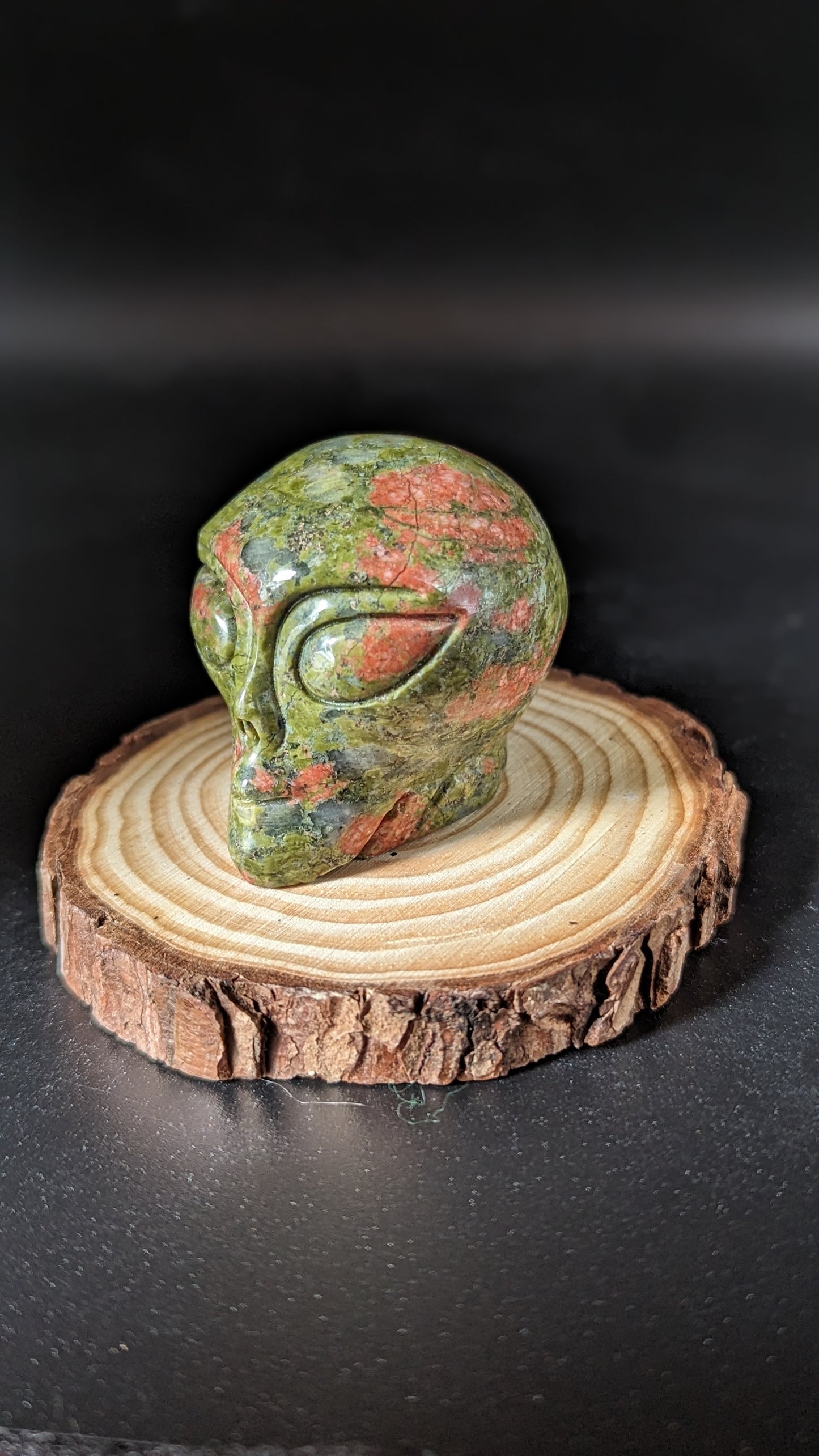 Alien Skull (Unakite) - SPIRITUALITY, VISION, EMOTIONAL BALANCE