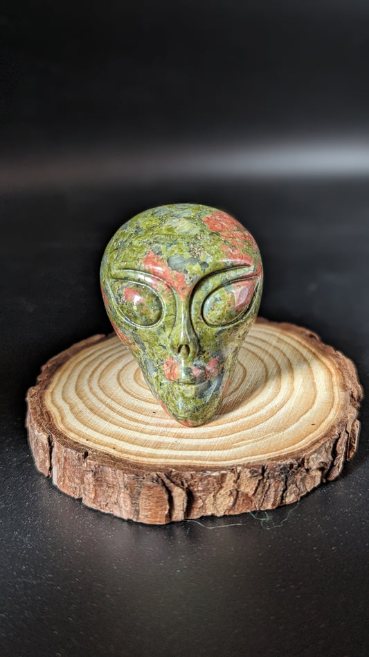 Alien Skull (Unakite) - SPIRITUALITY, VISION, EMOTIONAL BALANCE