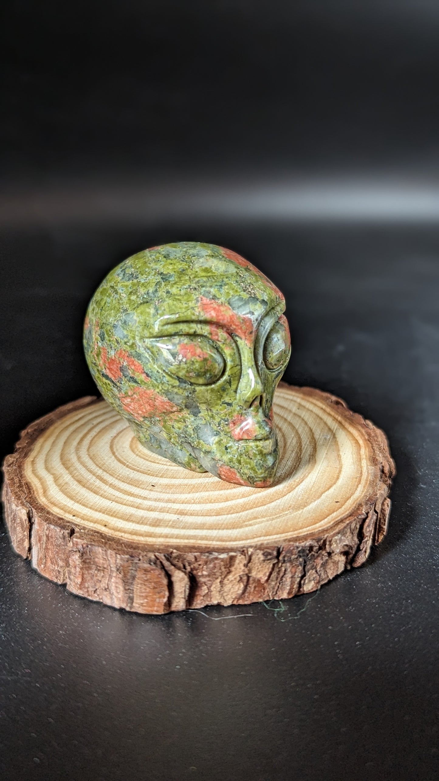 Alien Skull (Unakite) - SPIRITUALITY, VISION, EMOTIONAL BALANCE