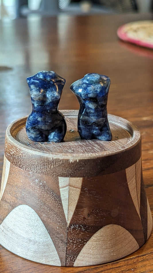 Male/Female Bodies (Pair) - Sodalite