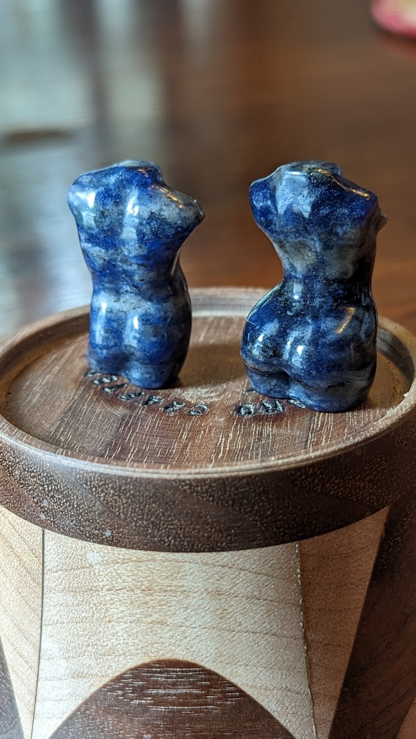 Male/Female Bodies (Pair) - Sodalite