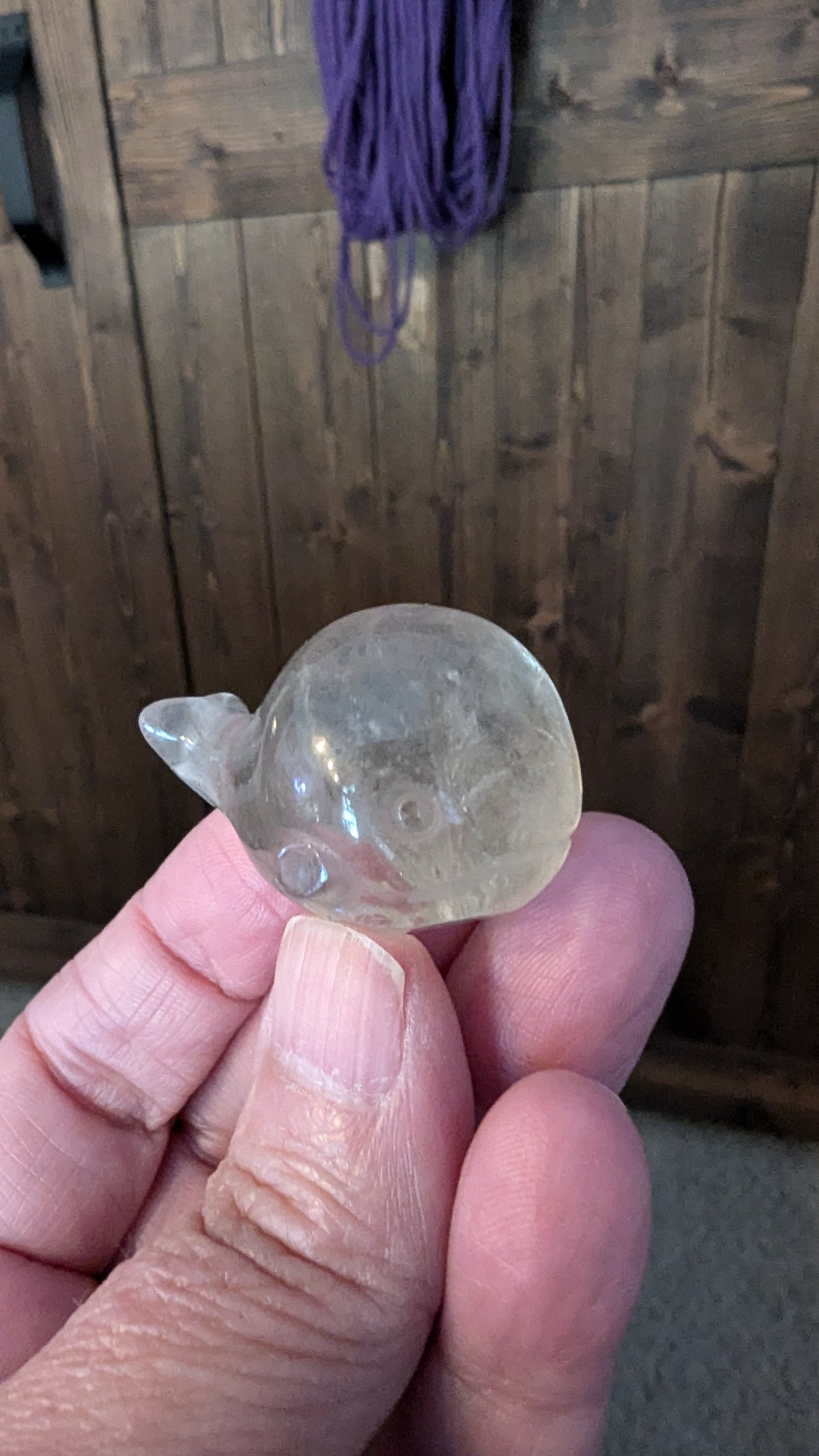 Whale (Clear Quartz) - SPIRITUAL GROWTH, PURITY, ENLIGHTENMENT