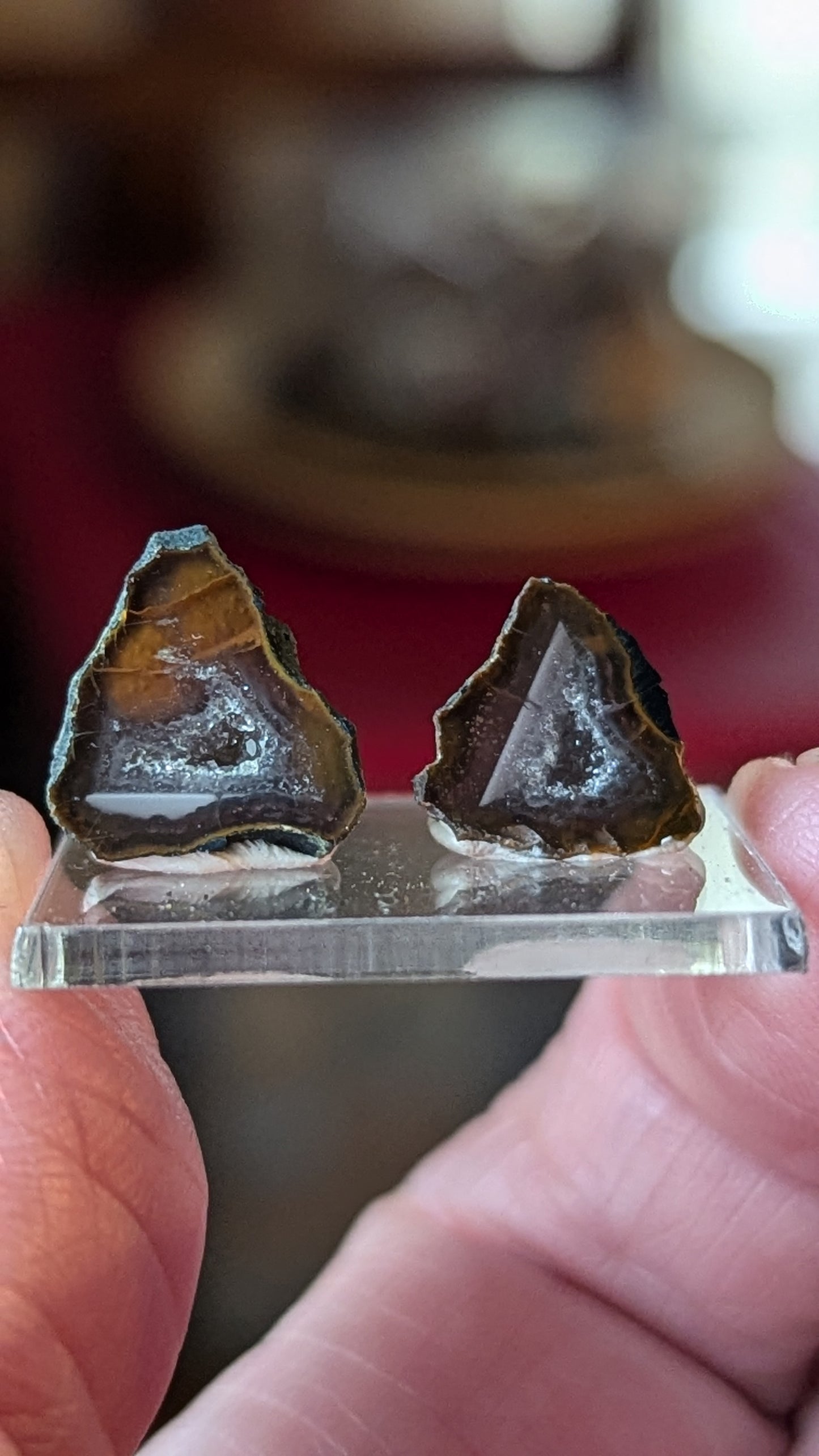 Tabasco Geodes -Mexico