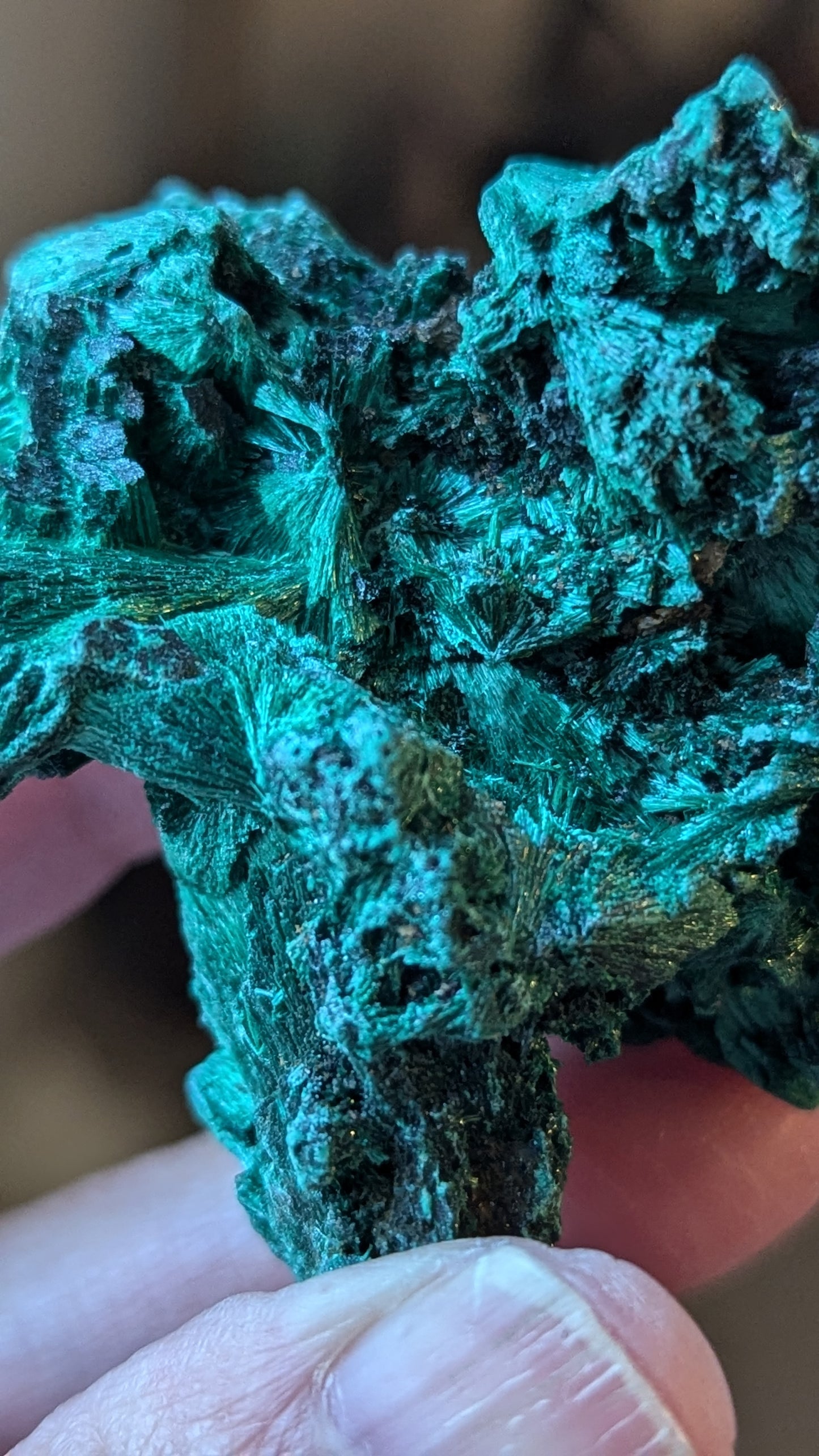 Malachite Silky (Congo) - ABUNDANCE, BALANCE, CLEANSING