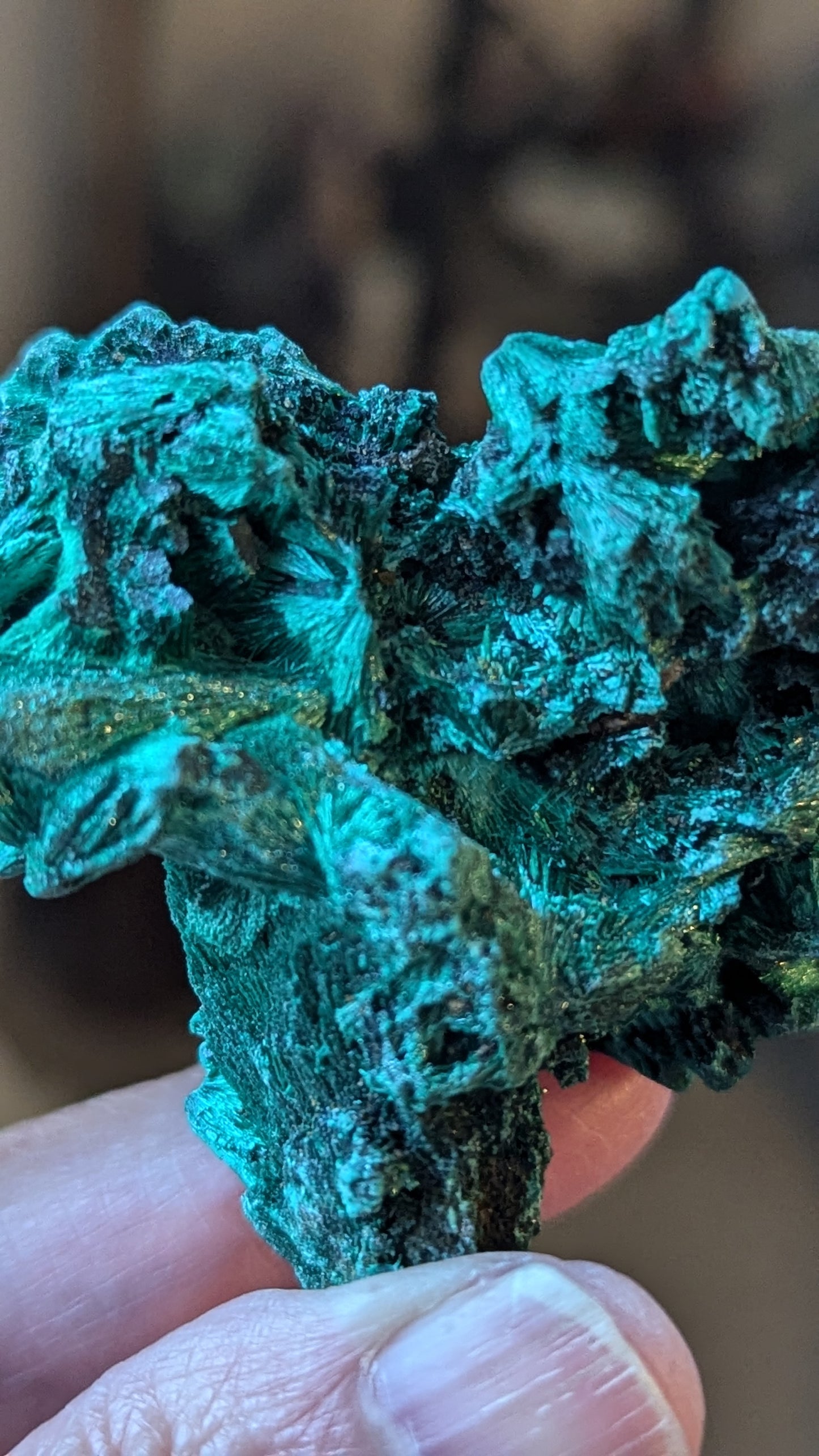 Malachite Silky (Congo) - ABUNDANCE, BALANCE, CLEANSING