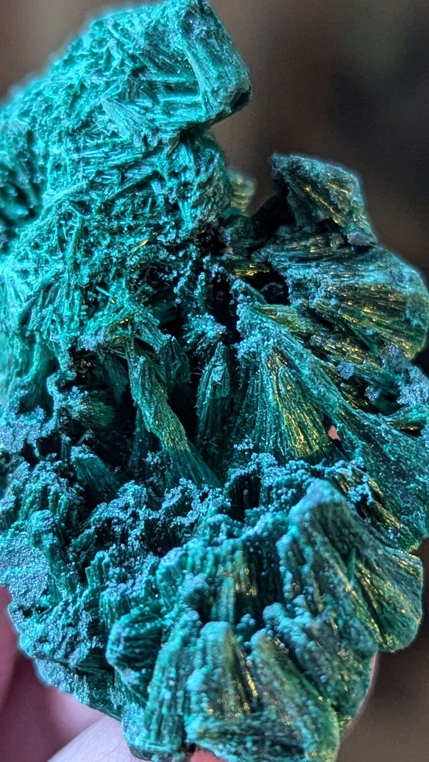 Malachite Silky (Congo) - ABUNDANCE, BALANCE, CLEANSING