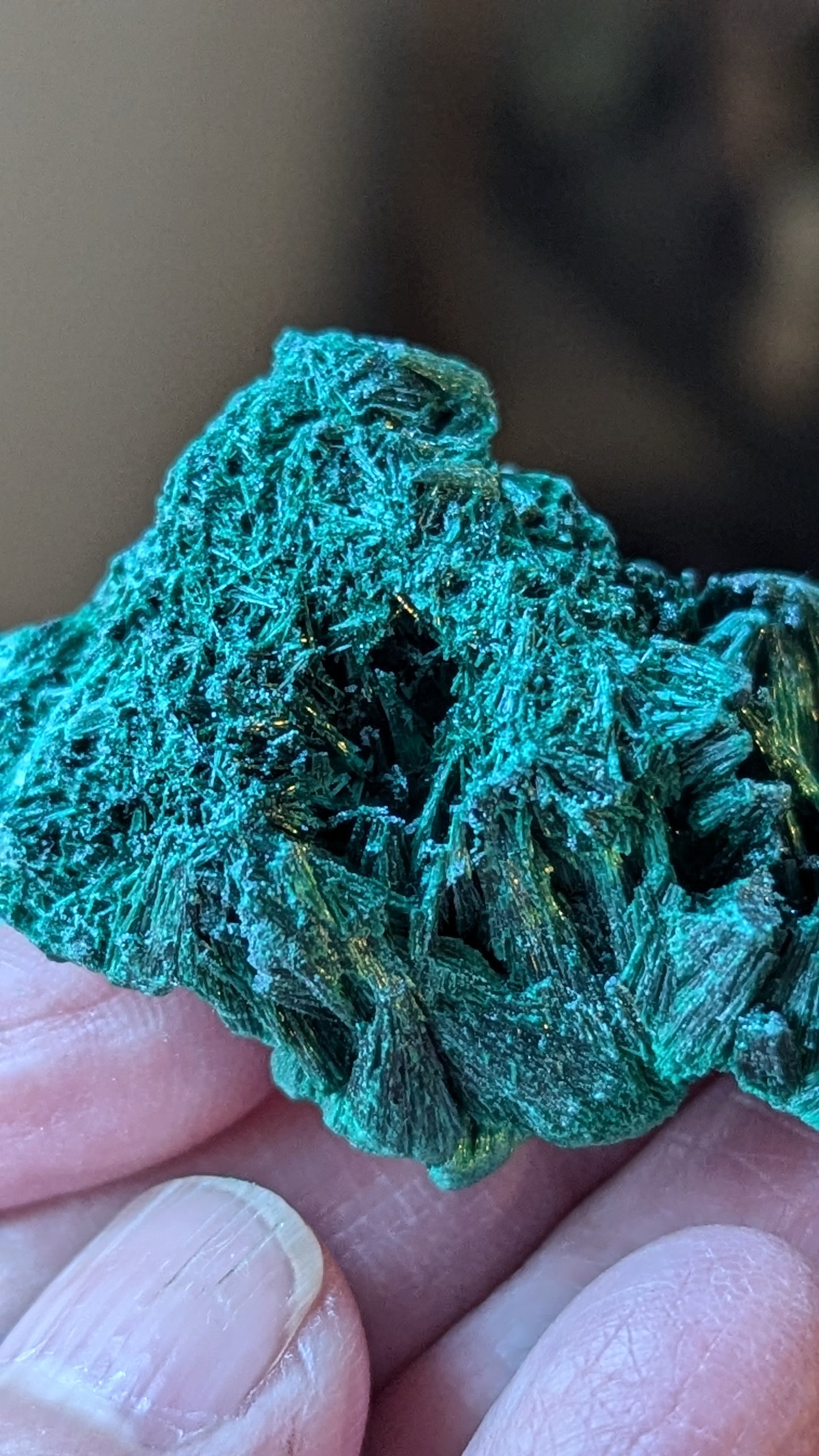 Malachite Silky (Congo) - ABUNDANCE, BALANCE, CLEANSING