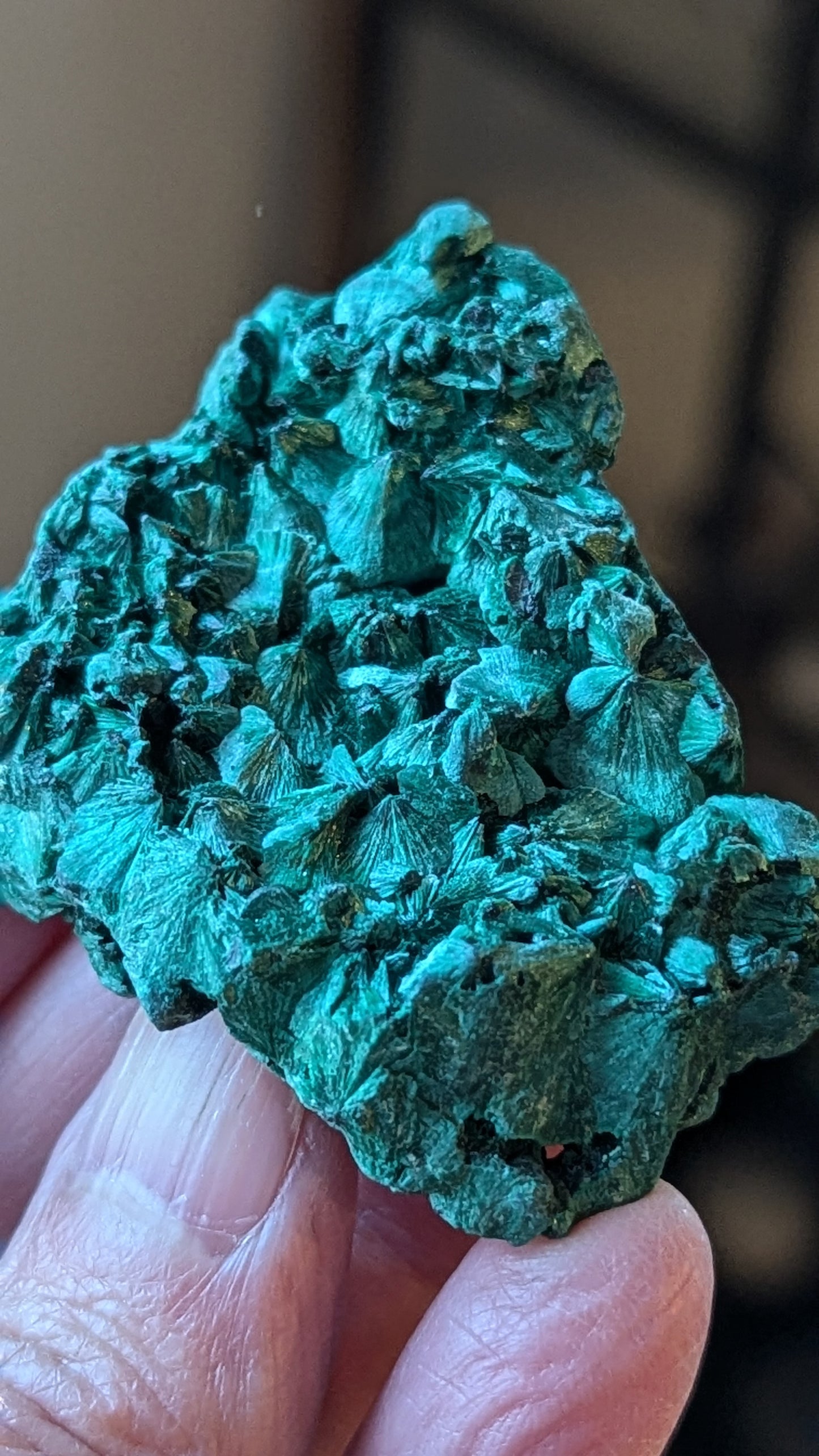 Malachite Silky (Congo) - ABUNDANCE, BALANCE, CLEANSING