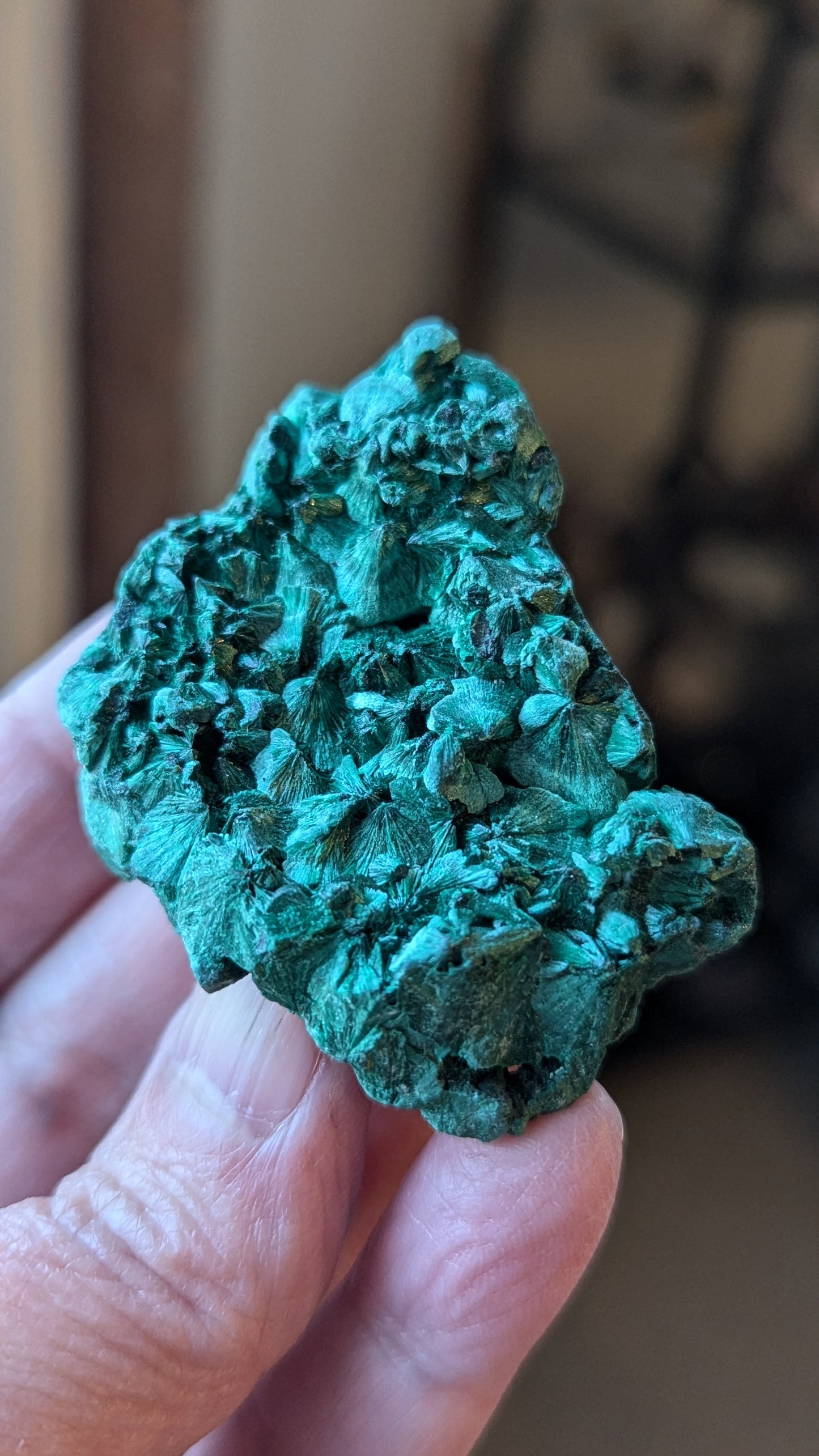 Malachite Silky (Congo) - ABUNDANCE, BALANCE, CLEANSING