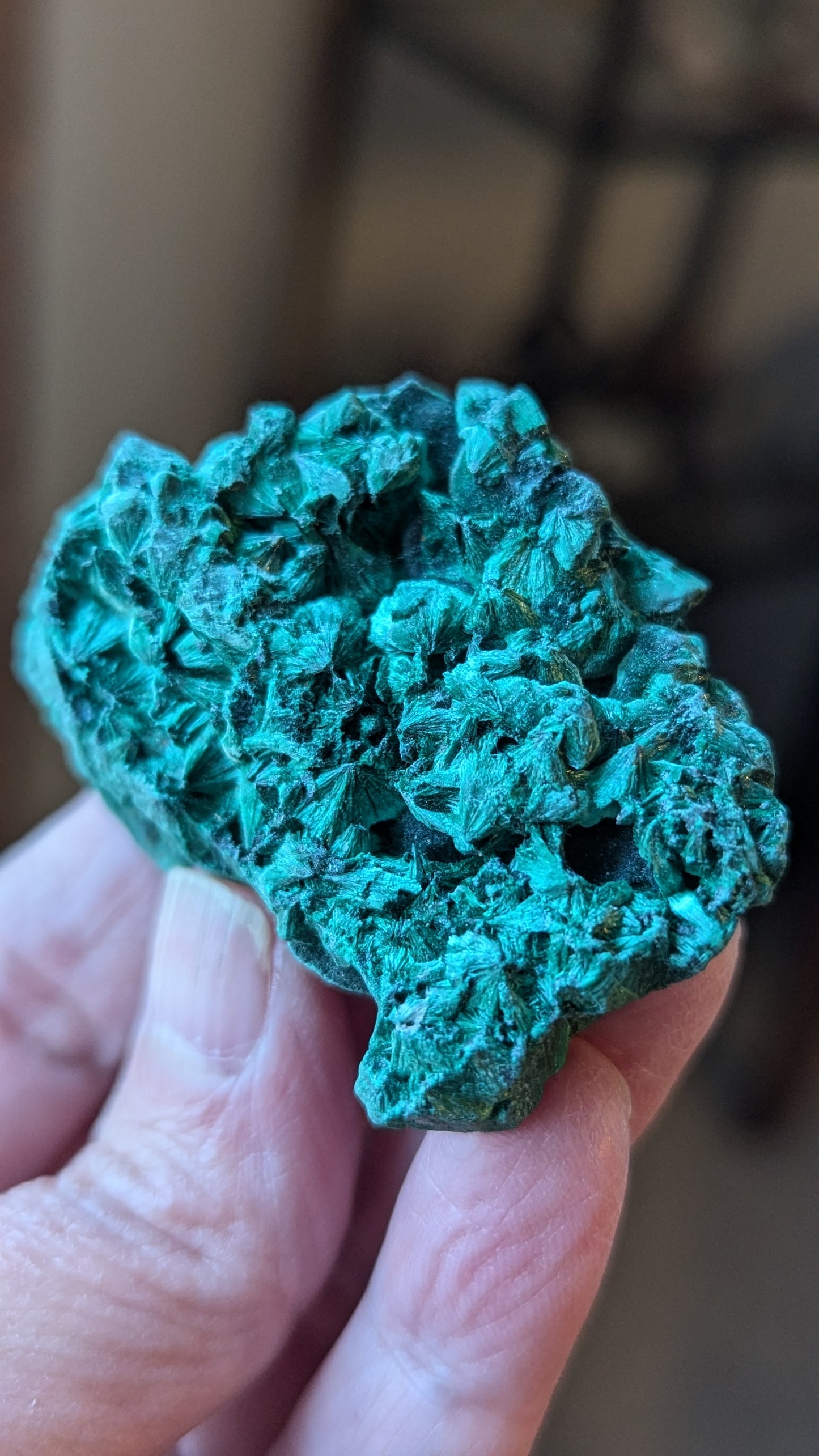 Malachite Silky (Congo) - ABUNDANCE, BALANCE, CLEANSING