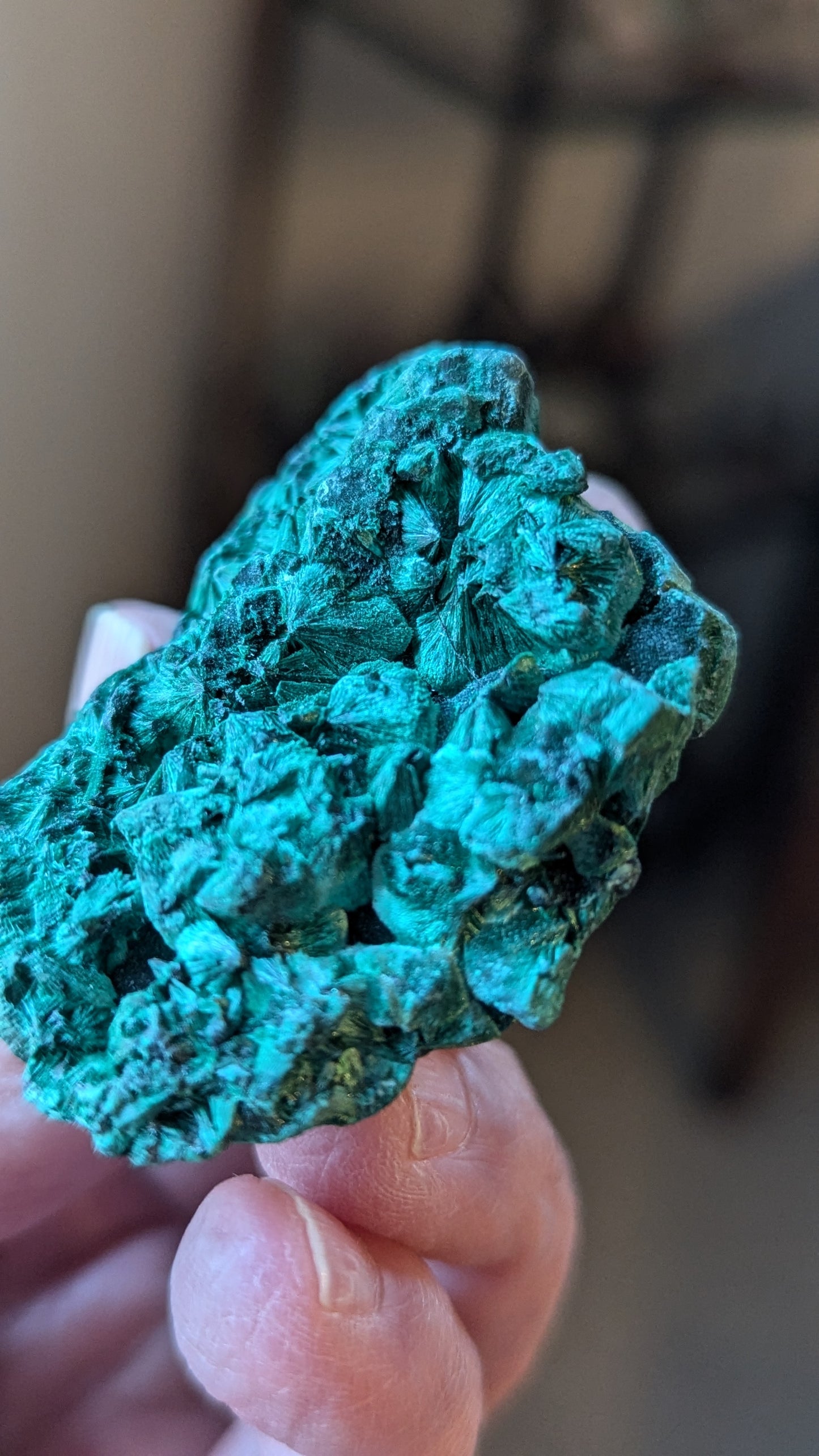 Malachite Silky (Congo) - ABUNDANCE, BALANCE, CLEANSING