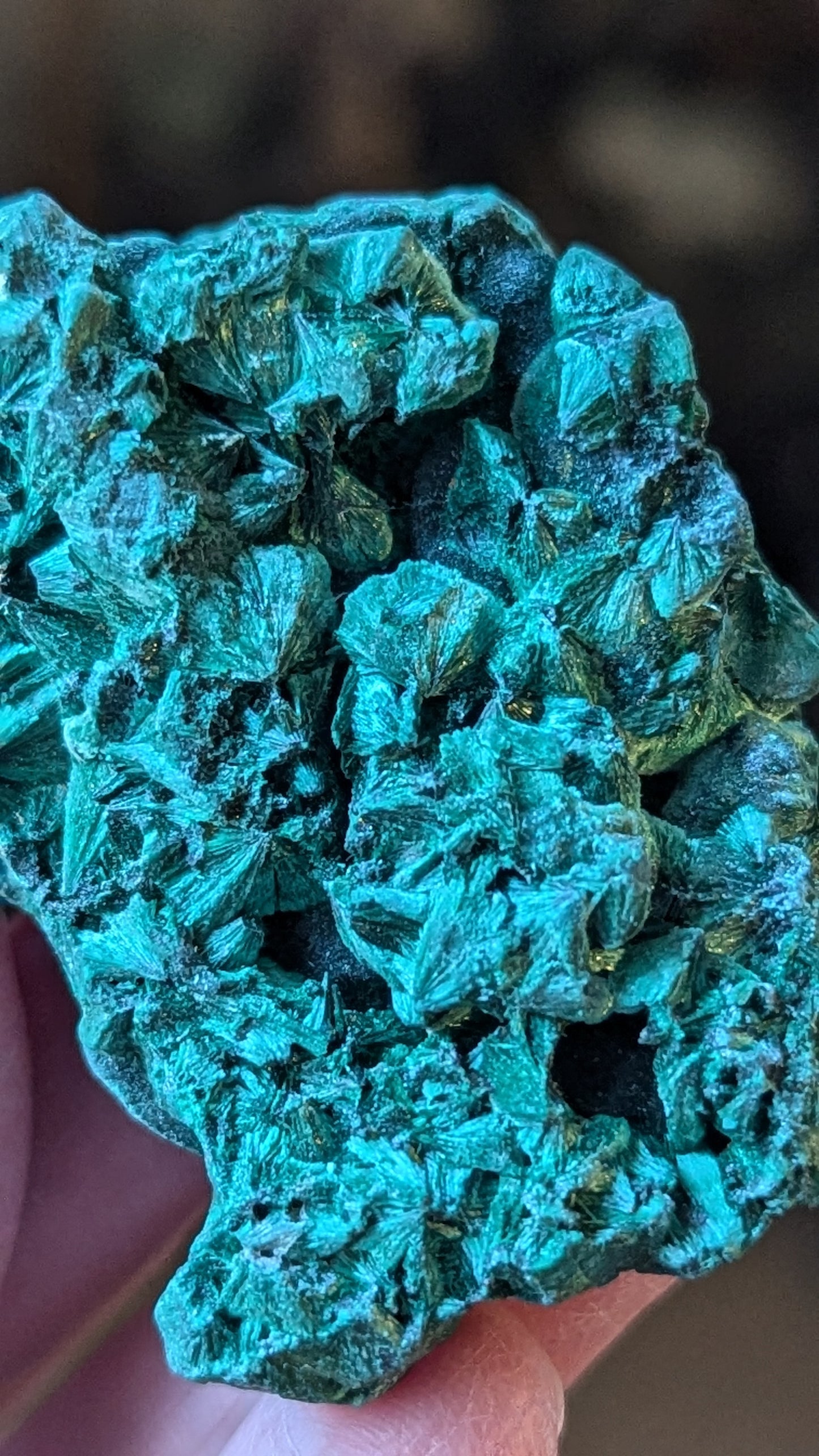 Malachite Silky (Congo) - ABUNDANCE, BALANCE, CLEANSING