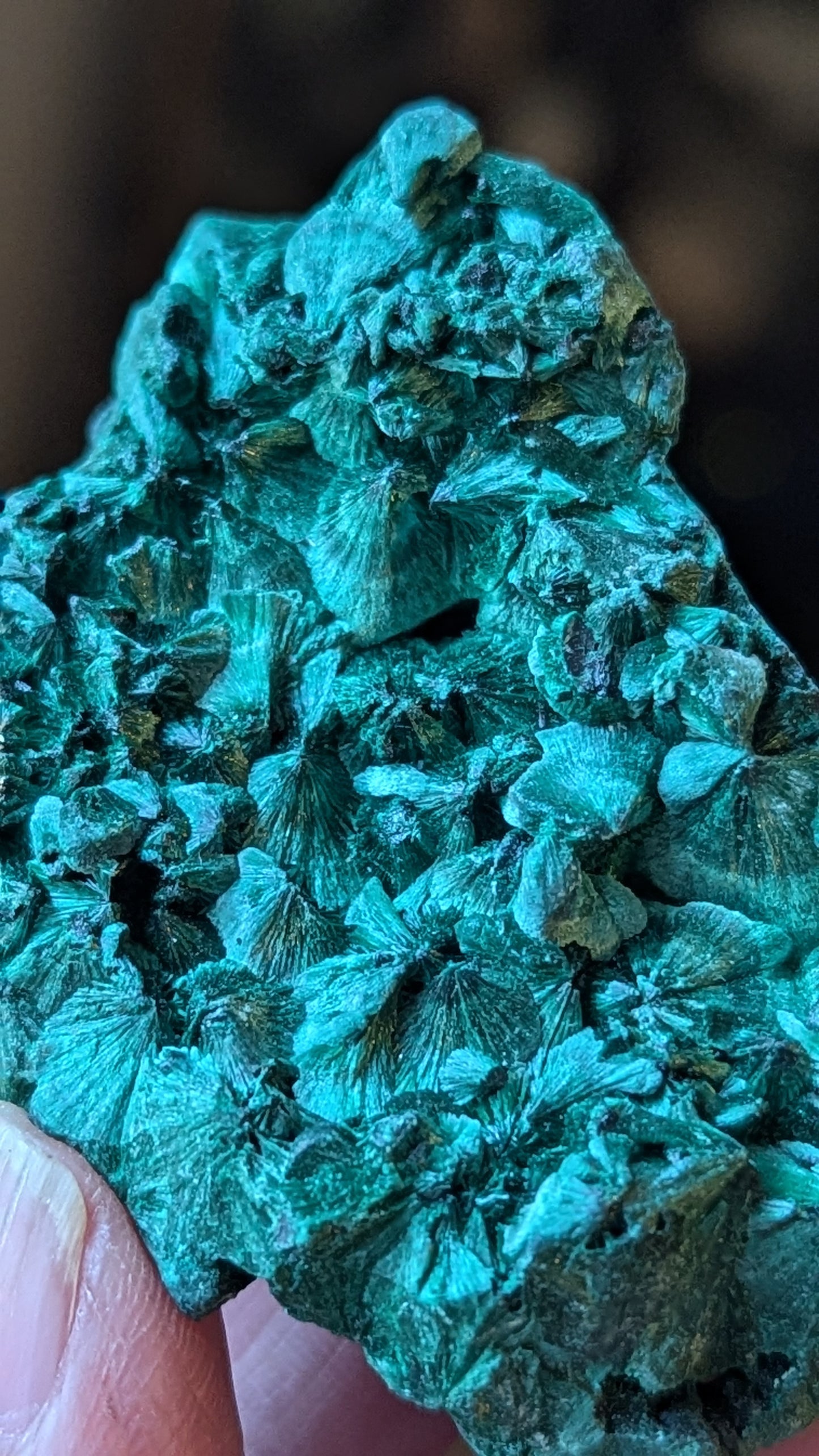 Malachite Silky (Congo) - ABUNDANCE, BALANCE, CLEANSING