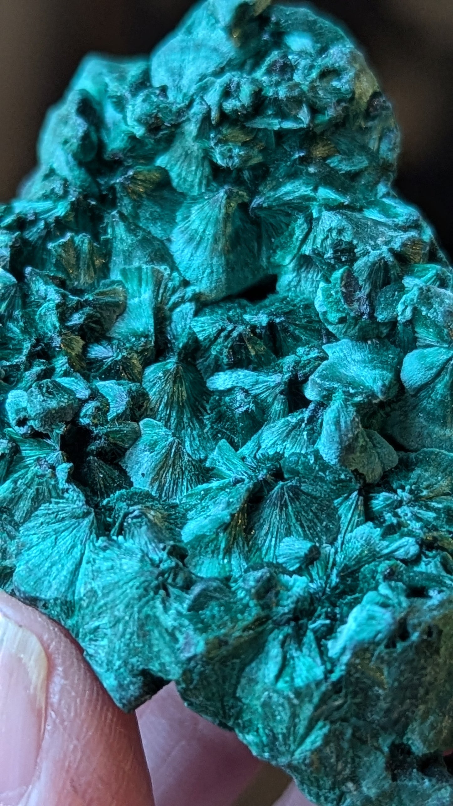 Malachite Silky (Congo) - ABUNDANCE, BALANCE, CLEANSING