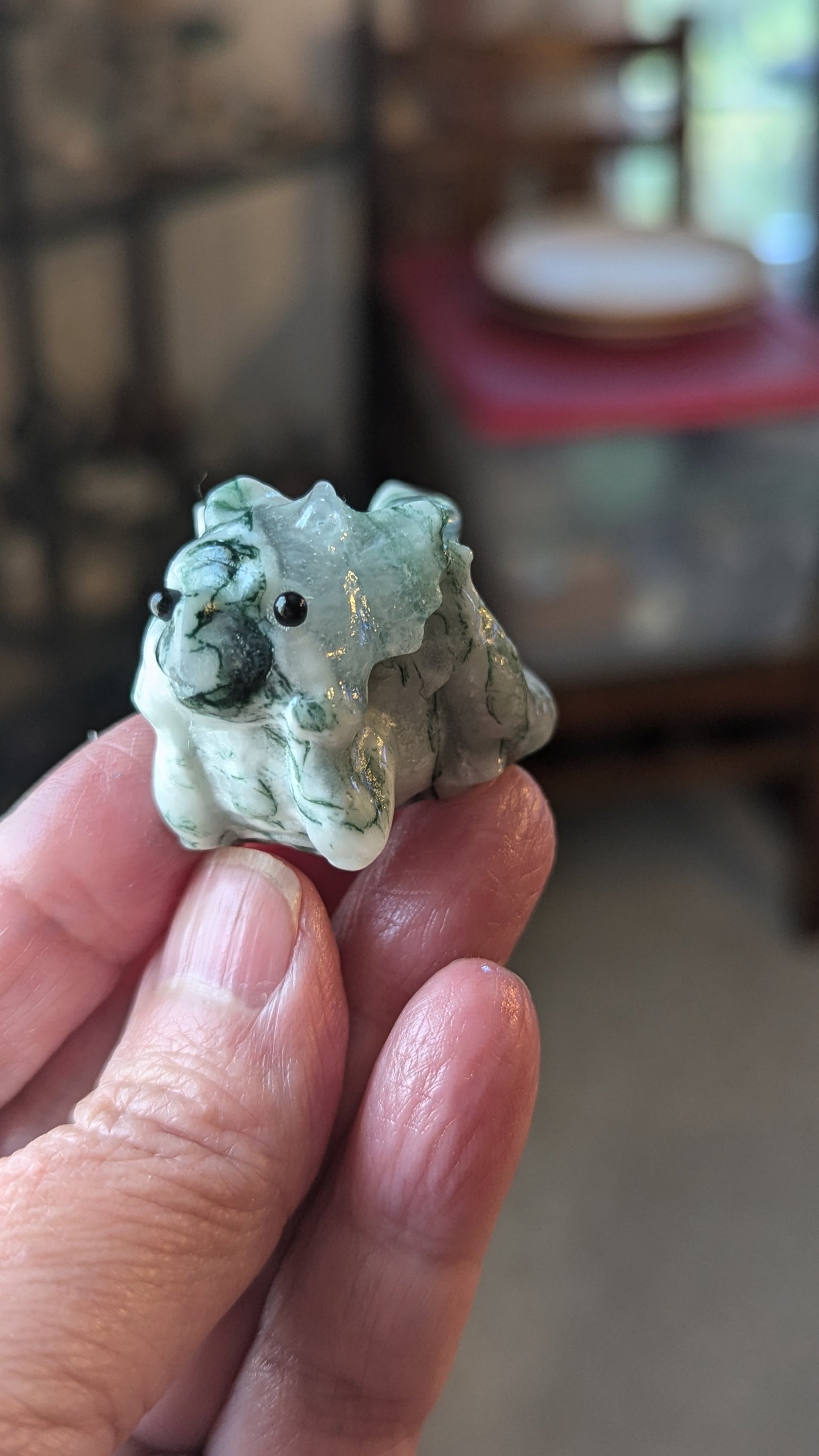 Dragon (Tree Agate) - CALMING, HARMONY, REMOVES BLOCKAGES